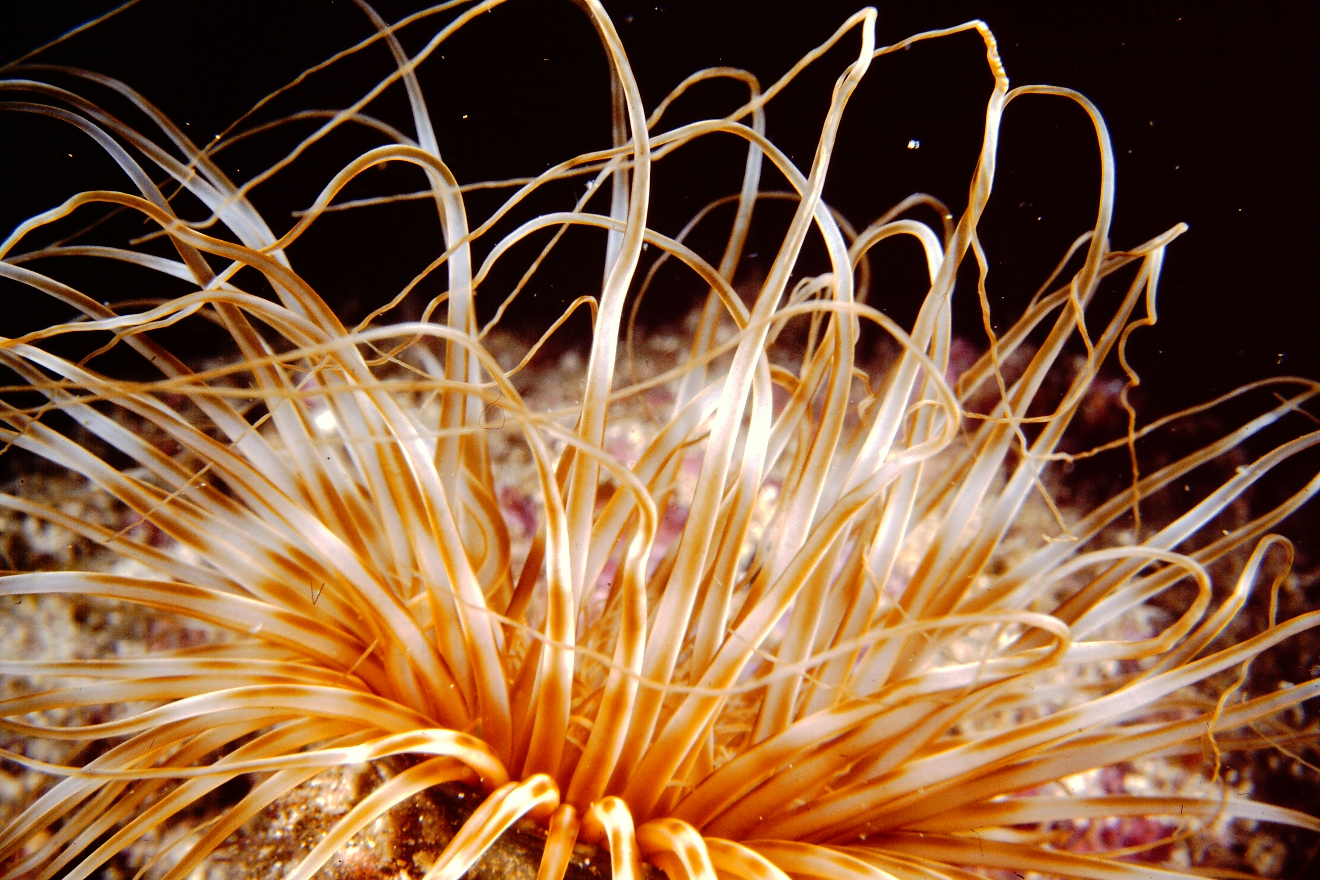 Photo by as_i_find_it