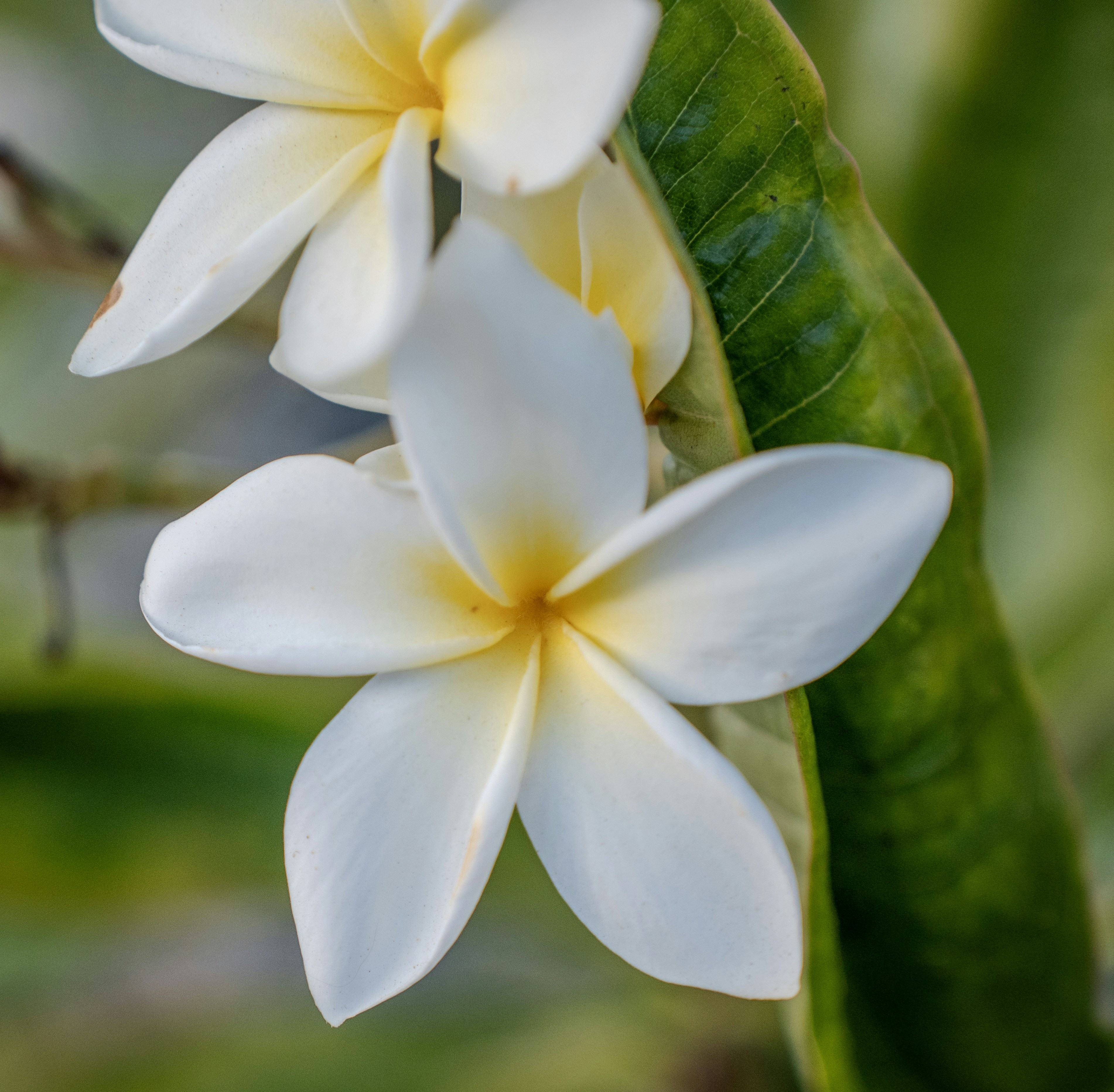 Photo by redpillbluepillstudios