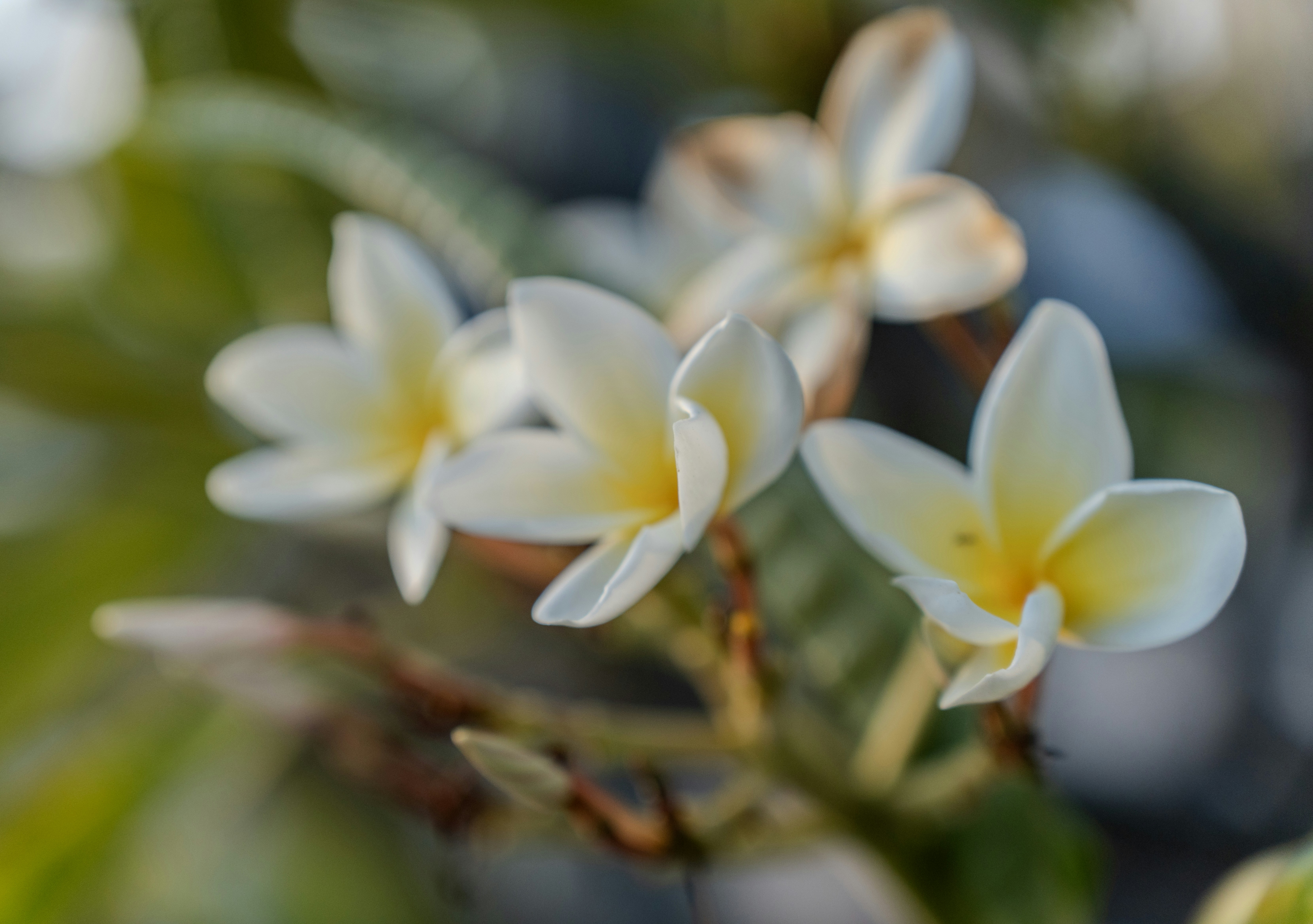 Photo by redpillbluepillstudios