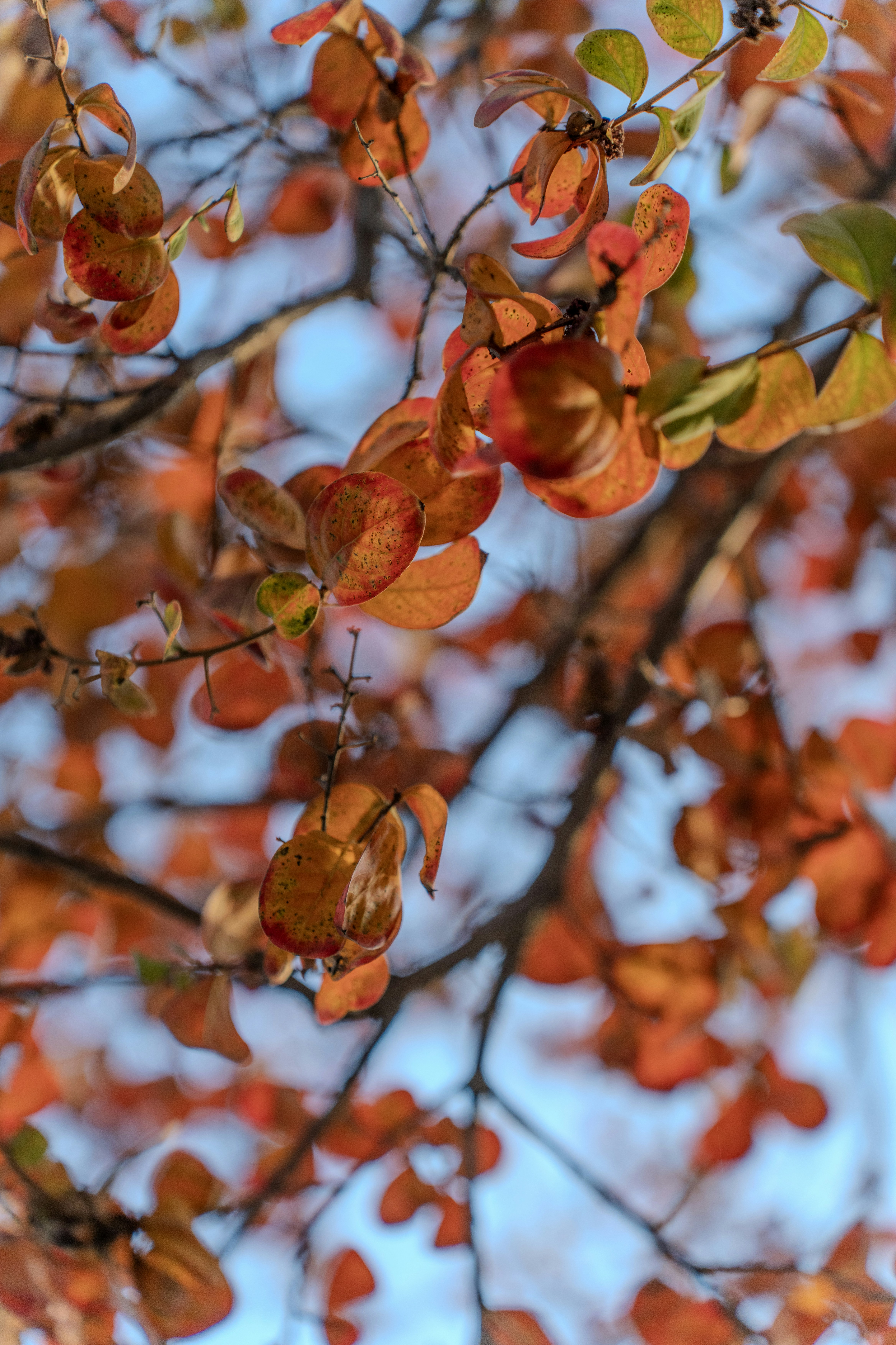 Photo by redpillbluepillstudios