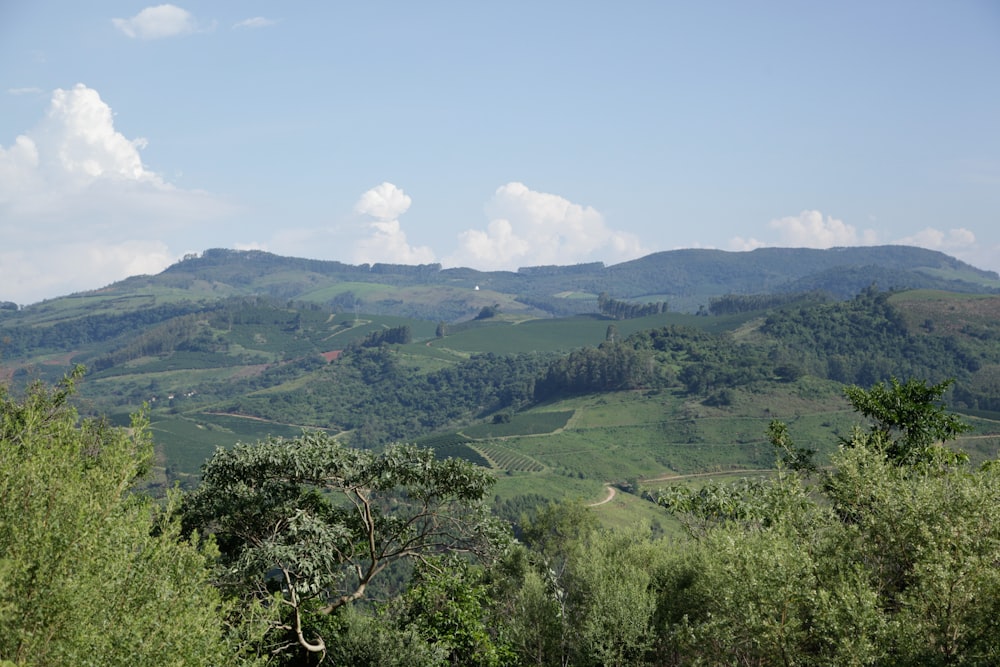 a scenic view of a hilly area with trees and mountains in the background