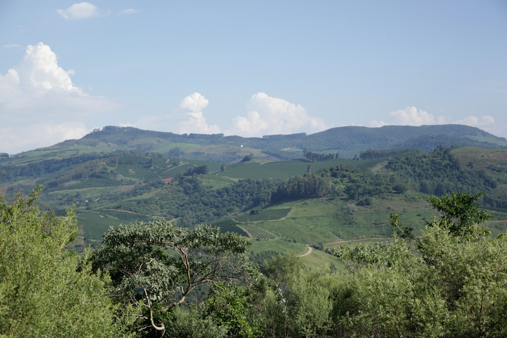 uma vista panorâmica de uma área montanhosa com árvores e montanhas ao fundo