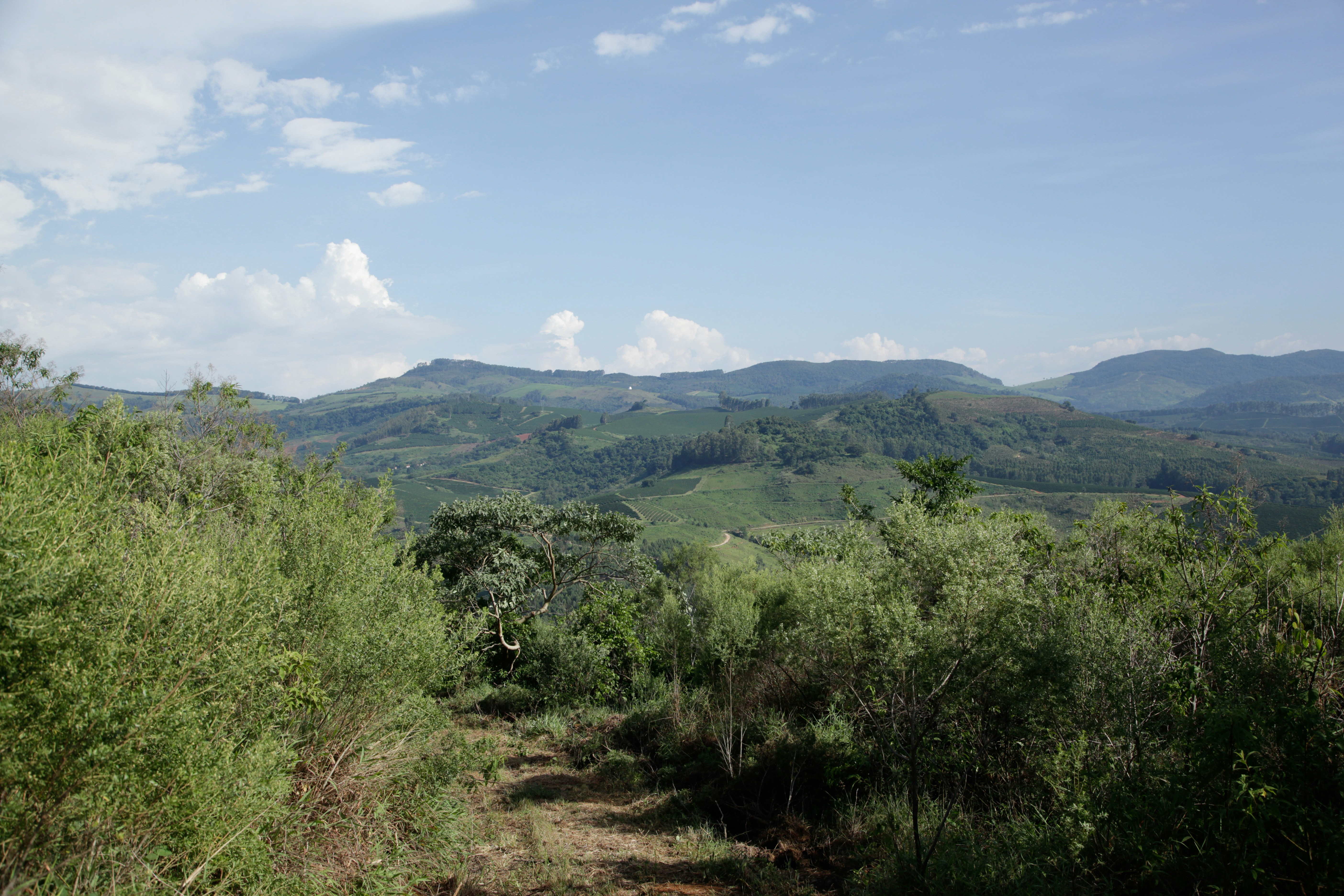 Photo by projetocafegatomourisco