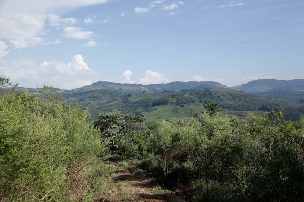 a dirt road surrounded by trees and mountains