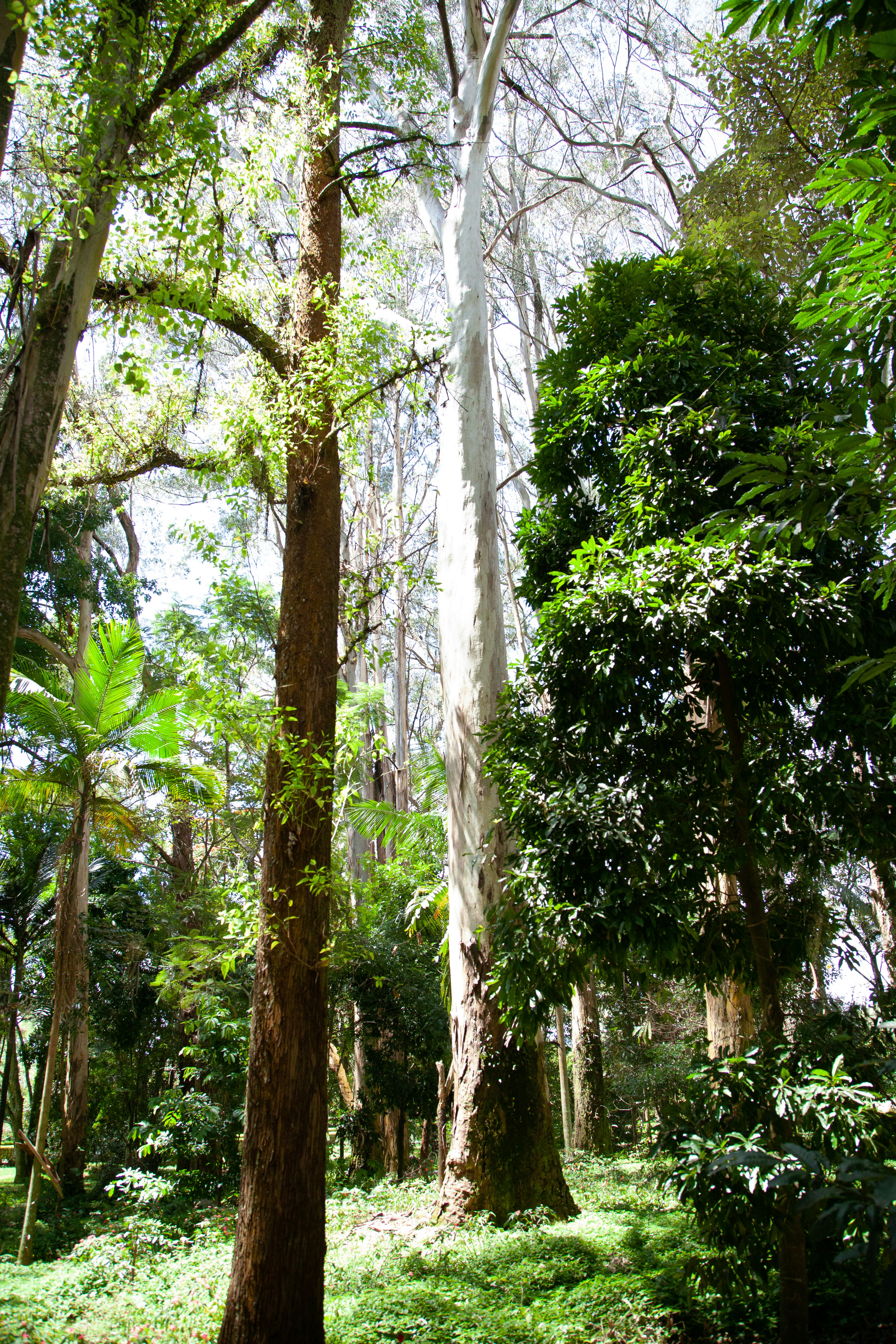 Photo by projetocafegatomourisco