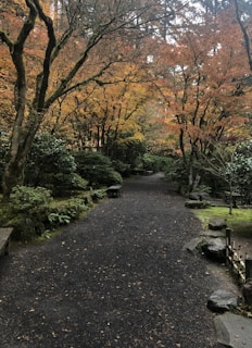 Outdoor garden space with walking paths and benches for relaxation at Autumn Living Services