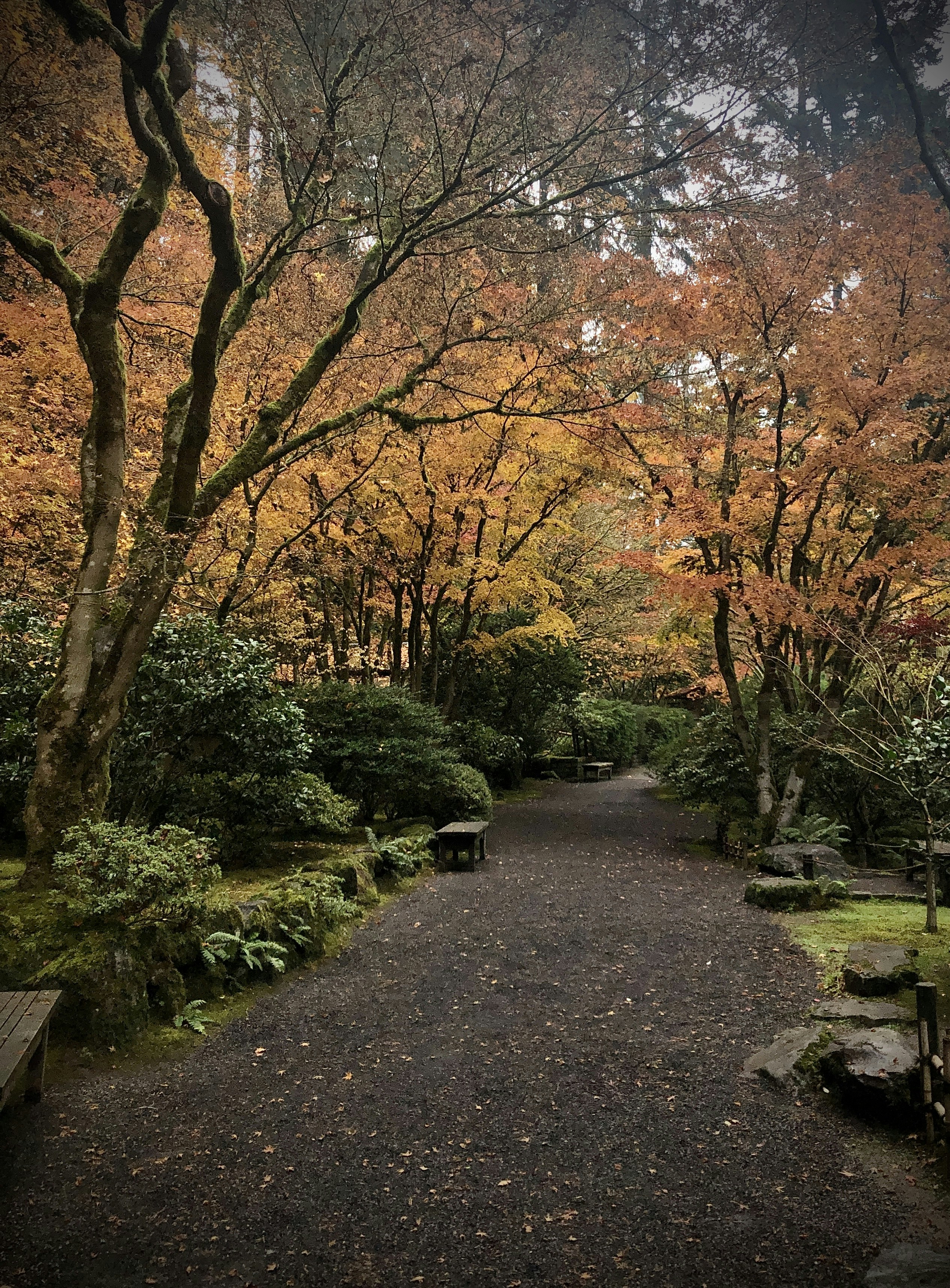 Photo by tattoo_jason