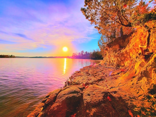 A serene lakeside landscape during sunset with the sun casting a vibrant, golden light on the rocky shoreline. The sky is filled with a mix of soft pink, purple, and blue hues, reflecting beautifully on the water. Tall trees stand prominently on the right side, their leaves tinged with the warm colors of the setting sun.