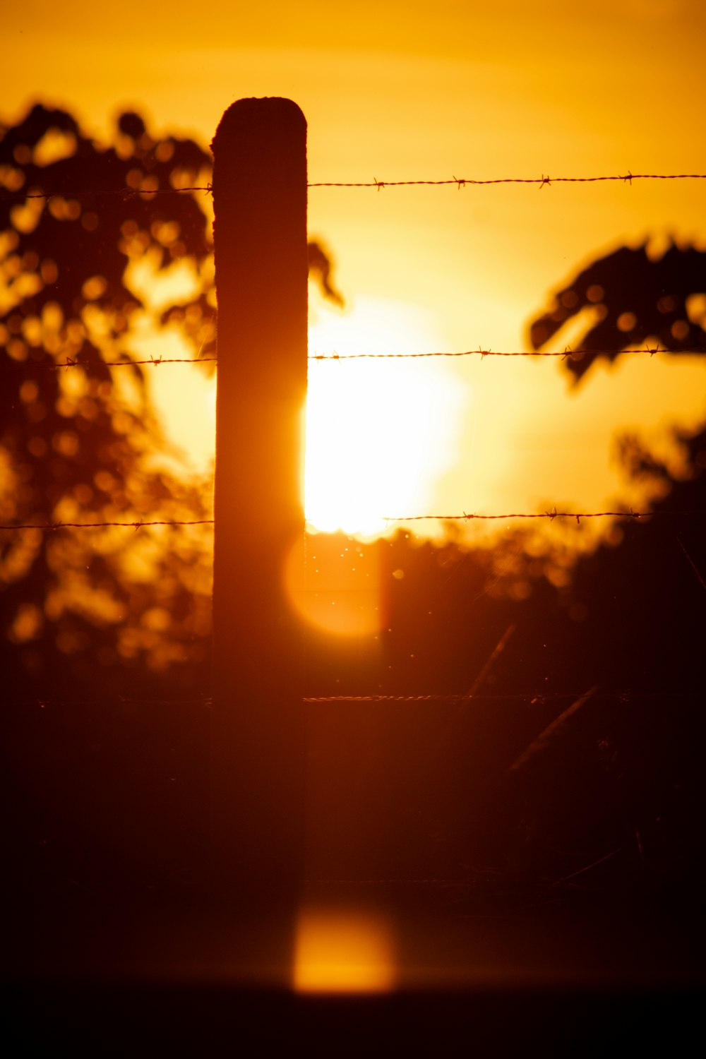 the sun is setting behind a wire fence