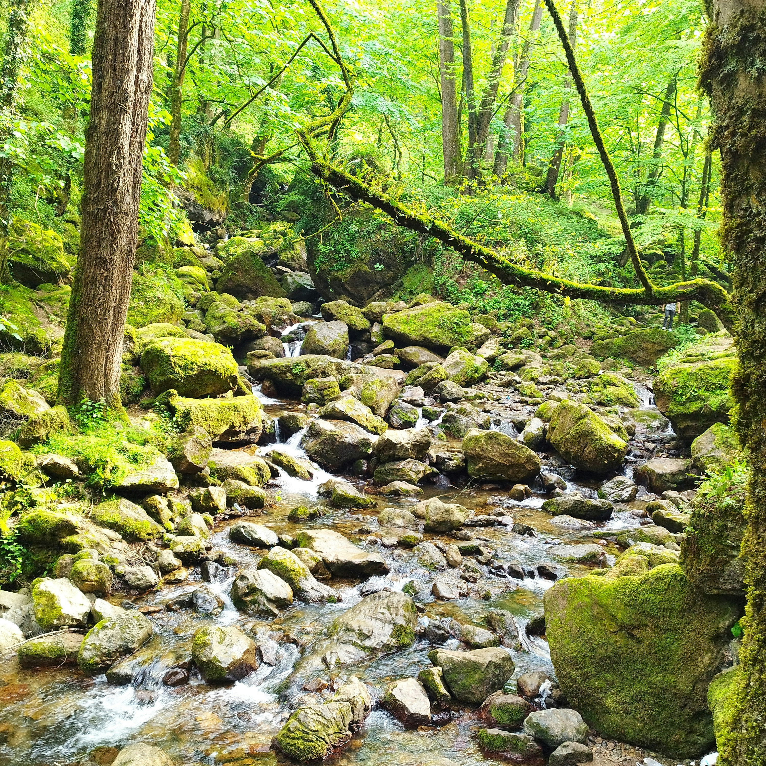 Photo by am_13691372