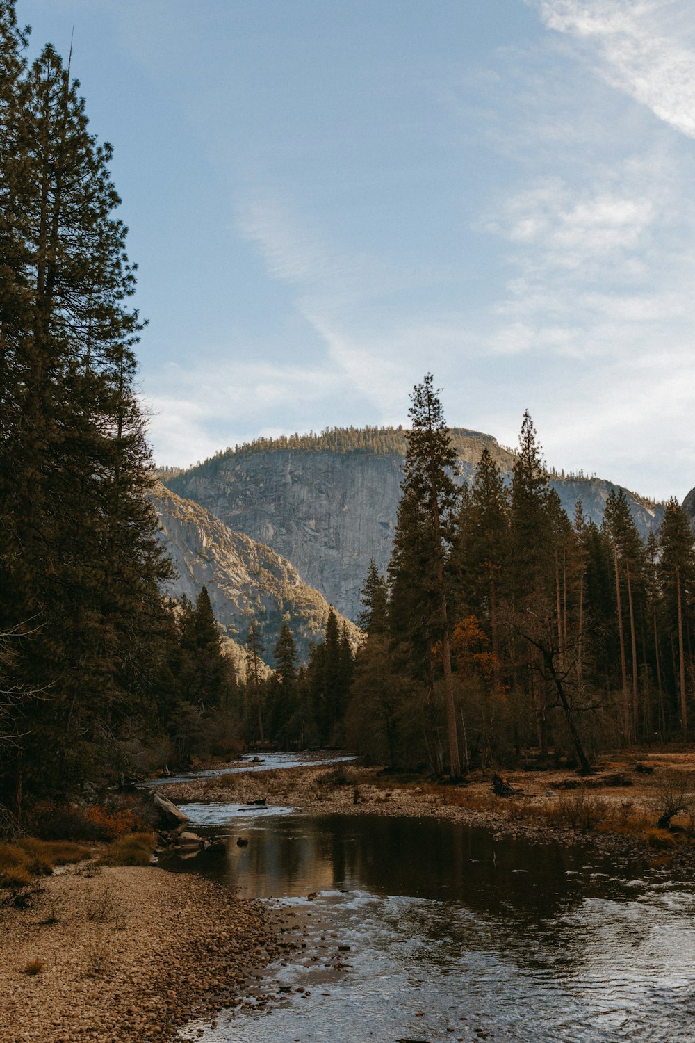 a river running through a forest with a mountain in the background