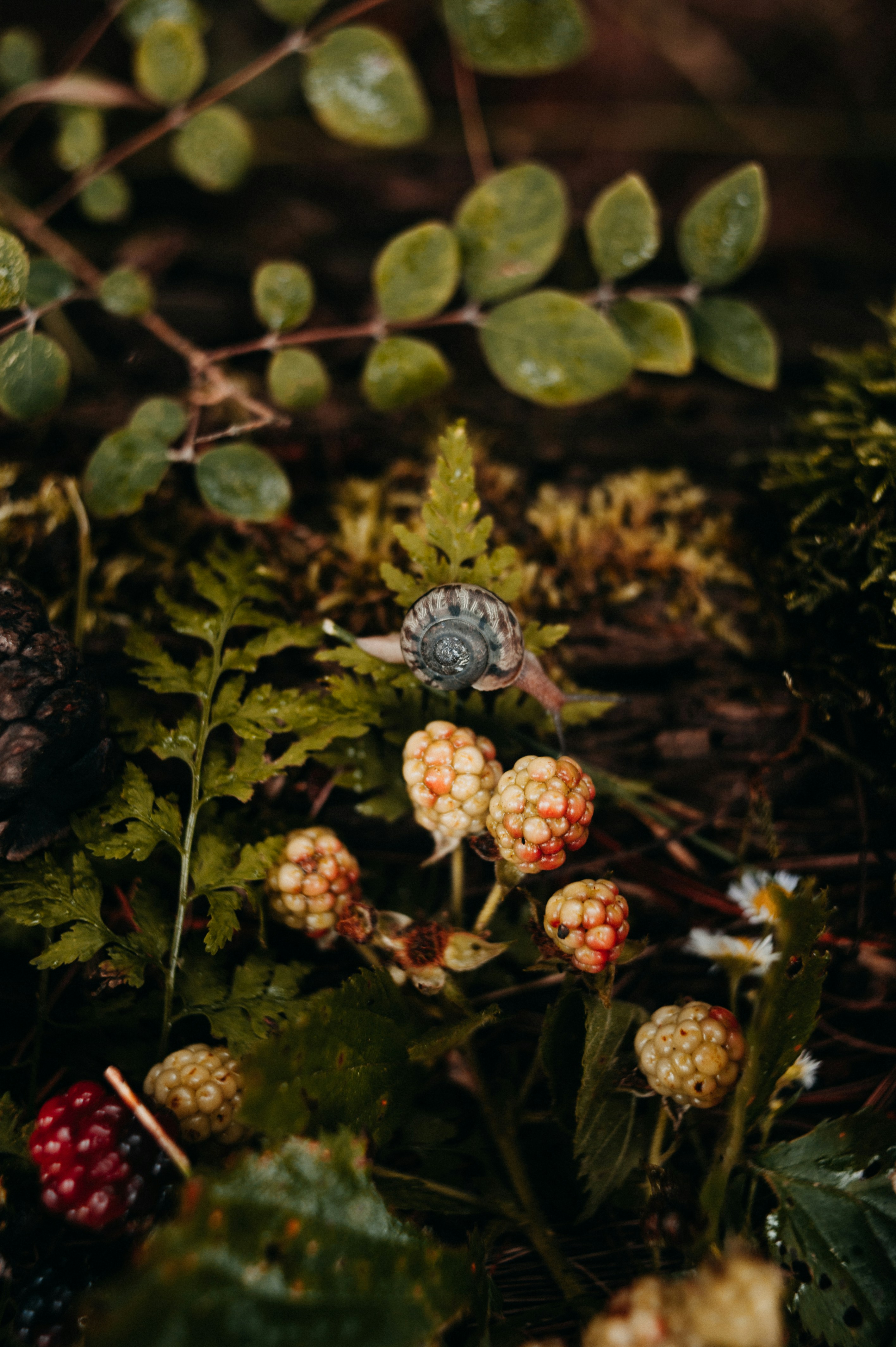 Photo by prairiepilgrim