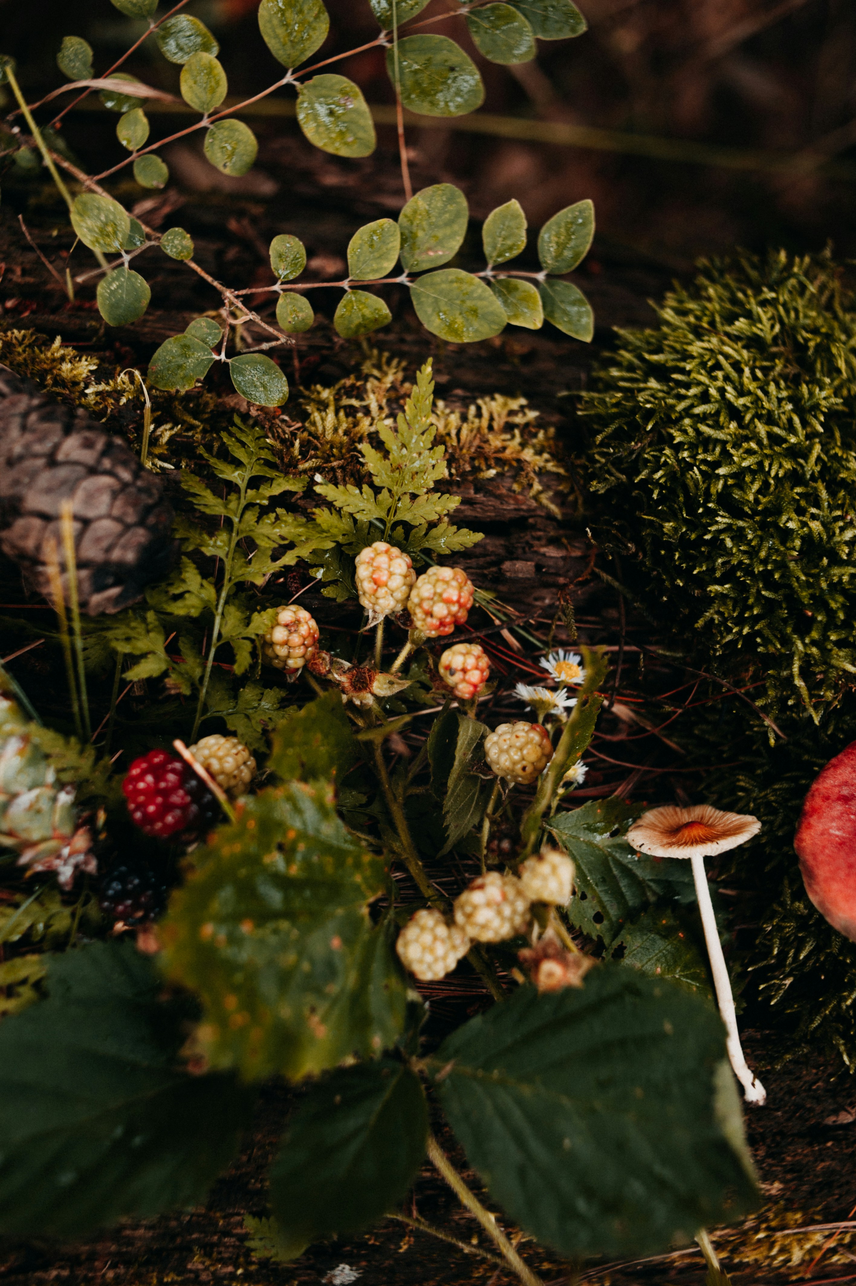 Photo by prairiepilgrim