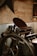 A vintage printing press with a large wheel and intricate mechanical components is positioned against a rustic wooden wall. The press has various metallic parts, handles, and rollers, with corrugated metal sheets partially covering the lower wall section.