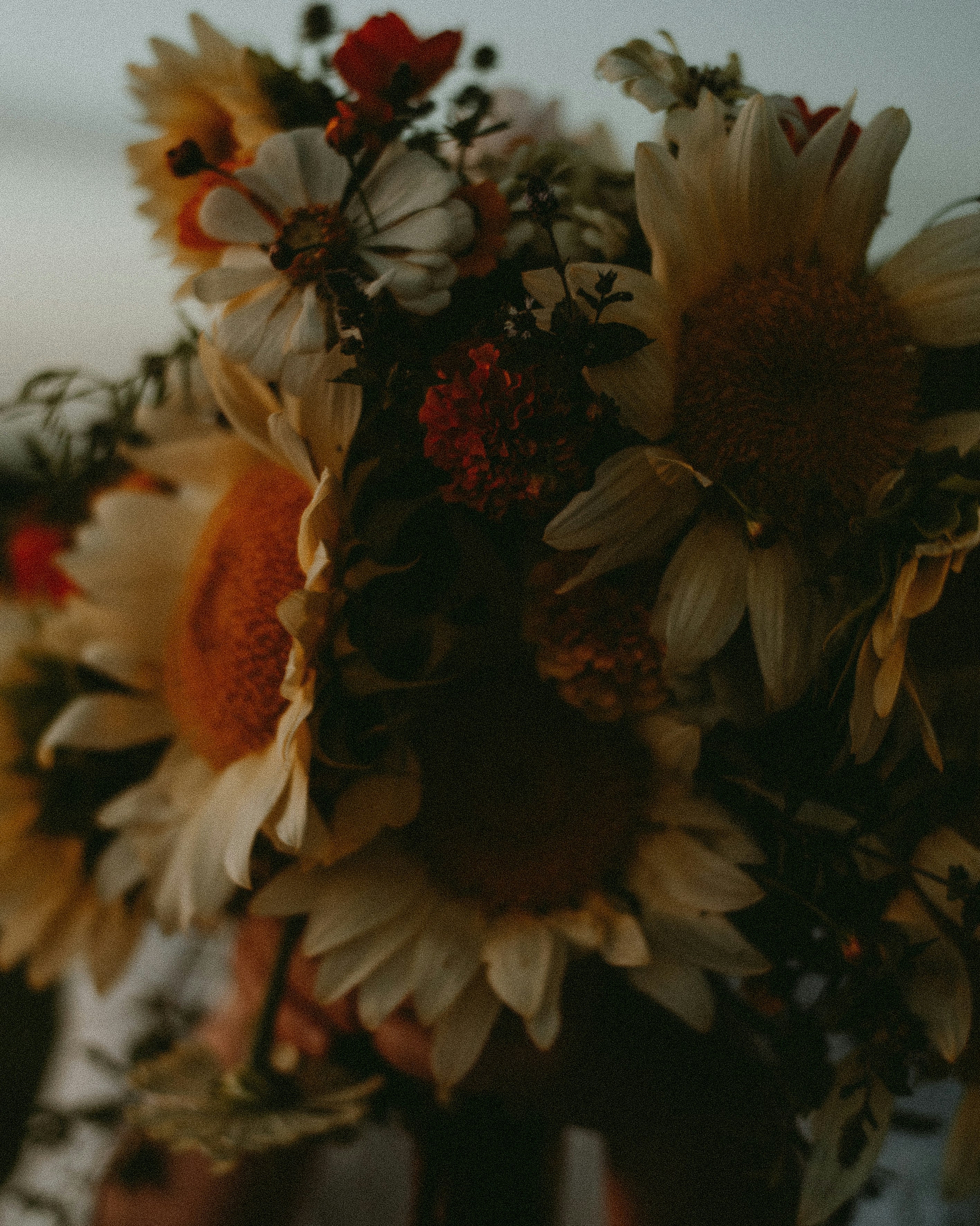 Photo by prairiepilgrim