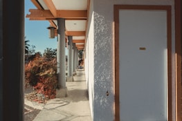 Tranquil spa entrance with a welcoming wooden door framed by greenery and gentle sunlight.