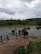 A panoramic view of elephants bathing in the river at Udawalawe during golden hour.
