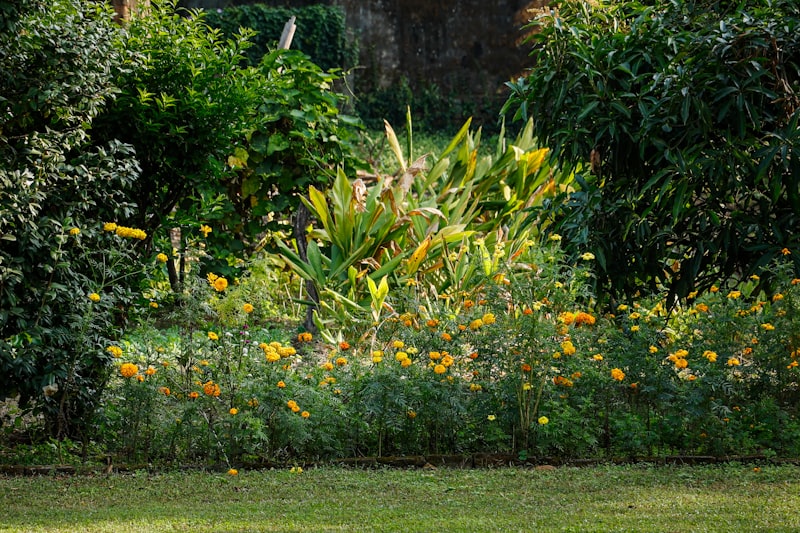 A blooming front-yard garden