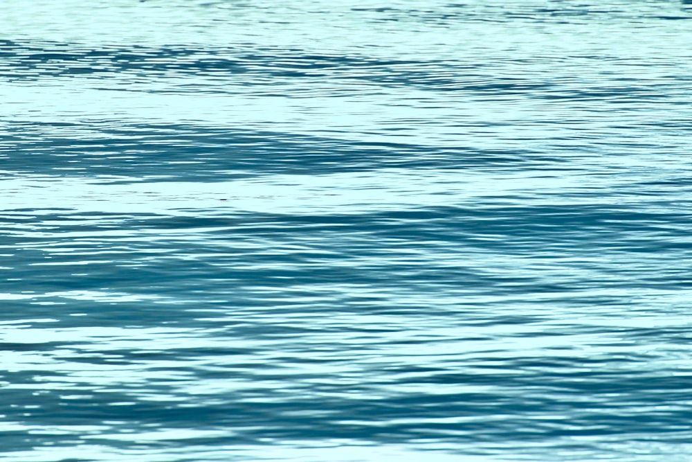 a man riding a surfboard on top of a body of water