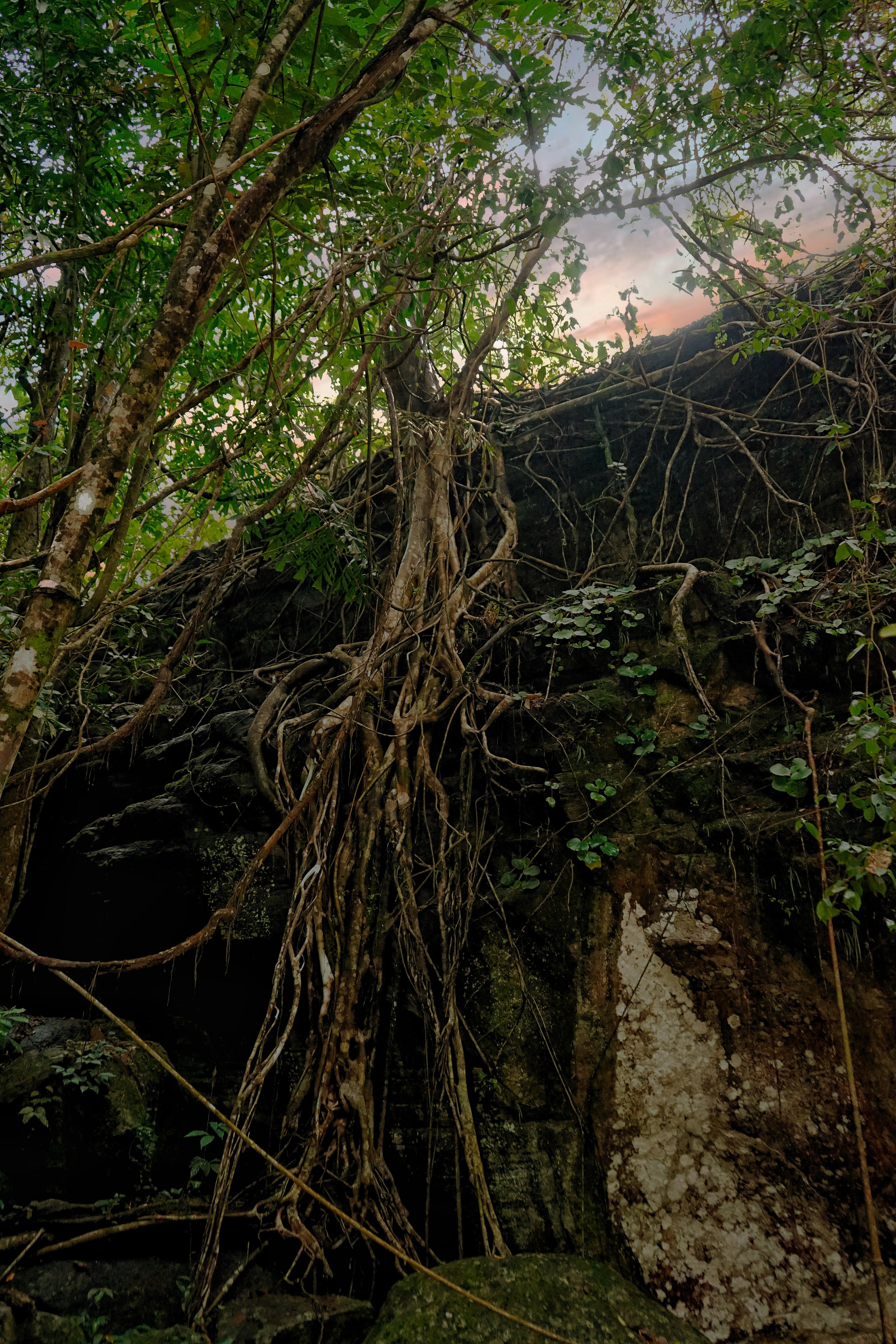 Photo by rohithmurali28