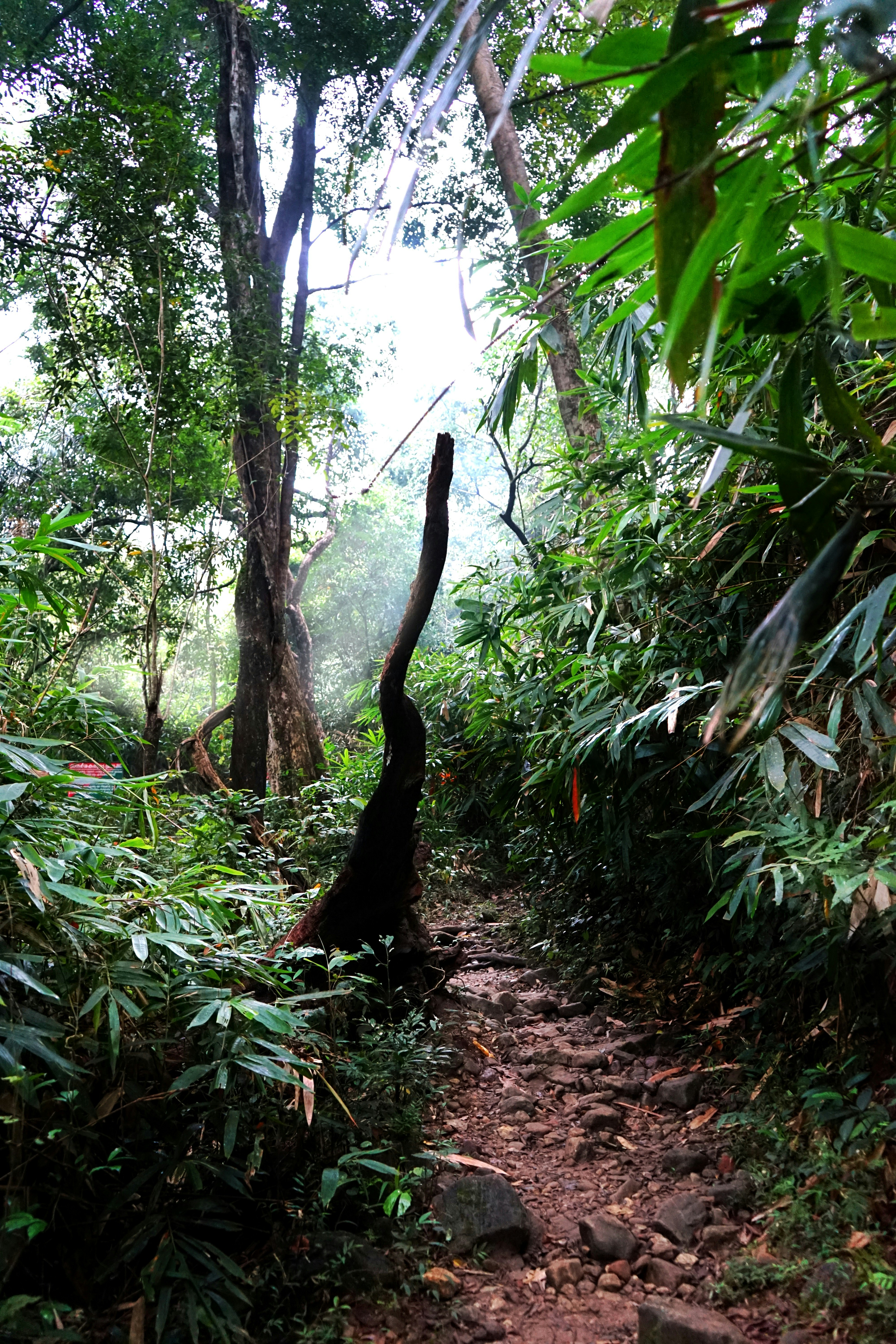 Photo by rohithmurali28