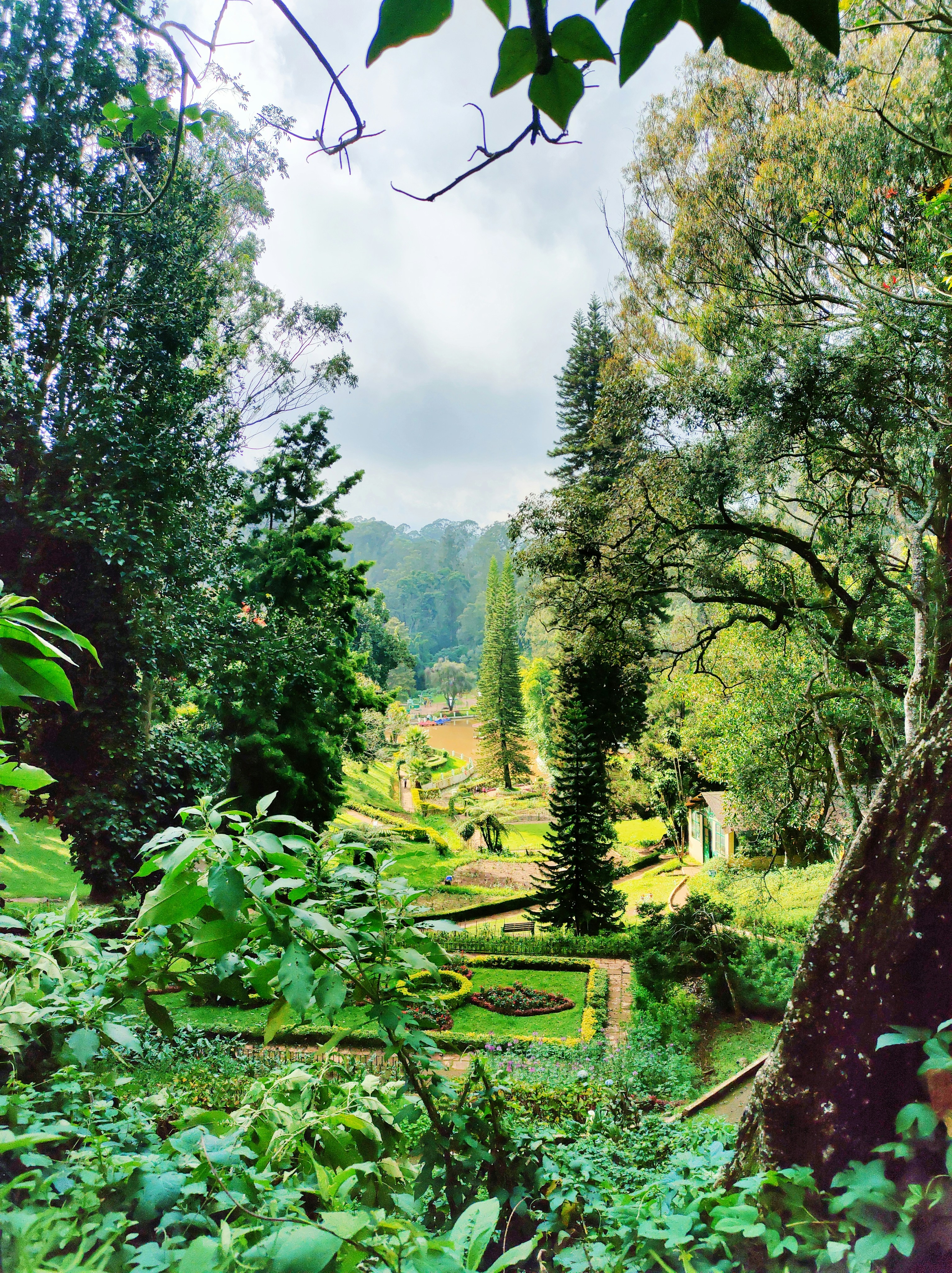 ไม้ล้อมคุณภาพสูง