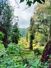 A peaceful view of Aranya Farms showcasing lush gardens and spacious event areas.