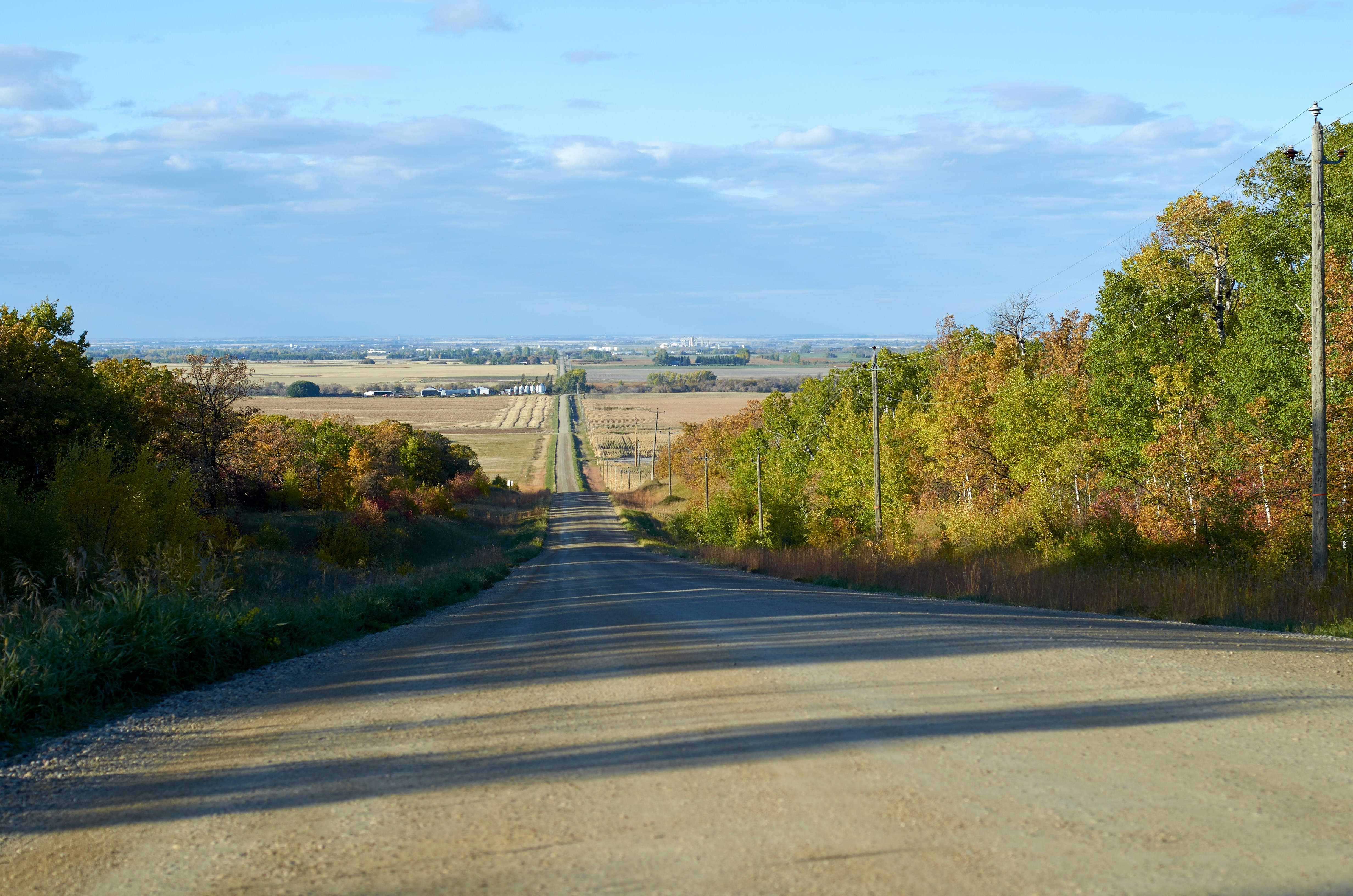 a rural road with trees on both sides