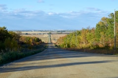 a rural road with trees on both sides