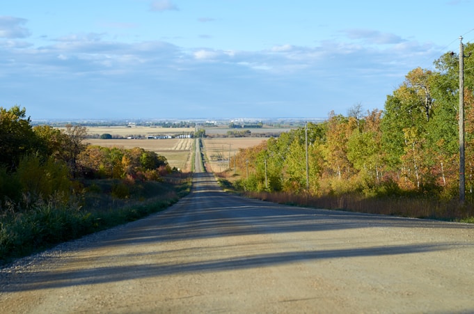 a rural road with trees on both sides