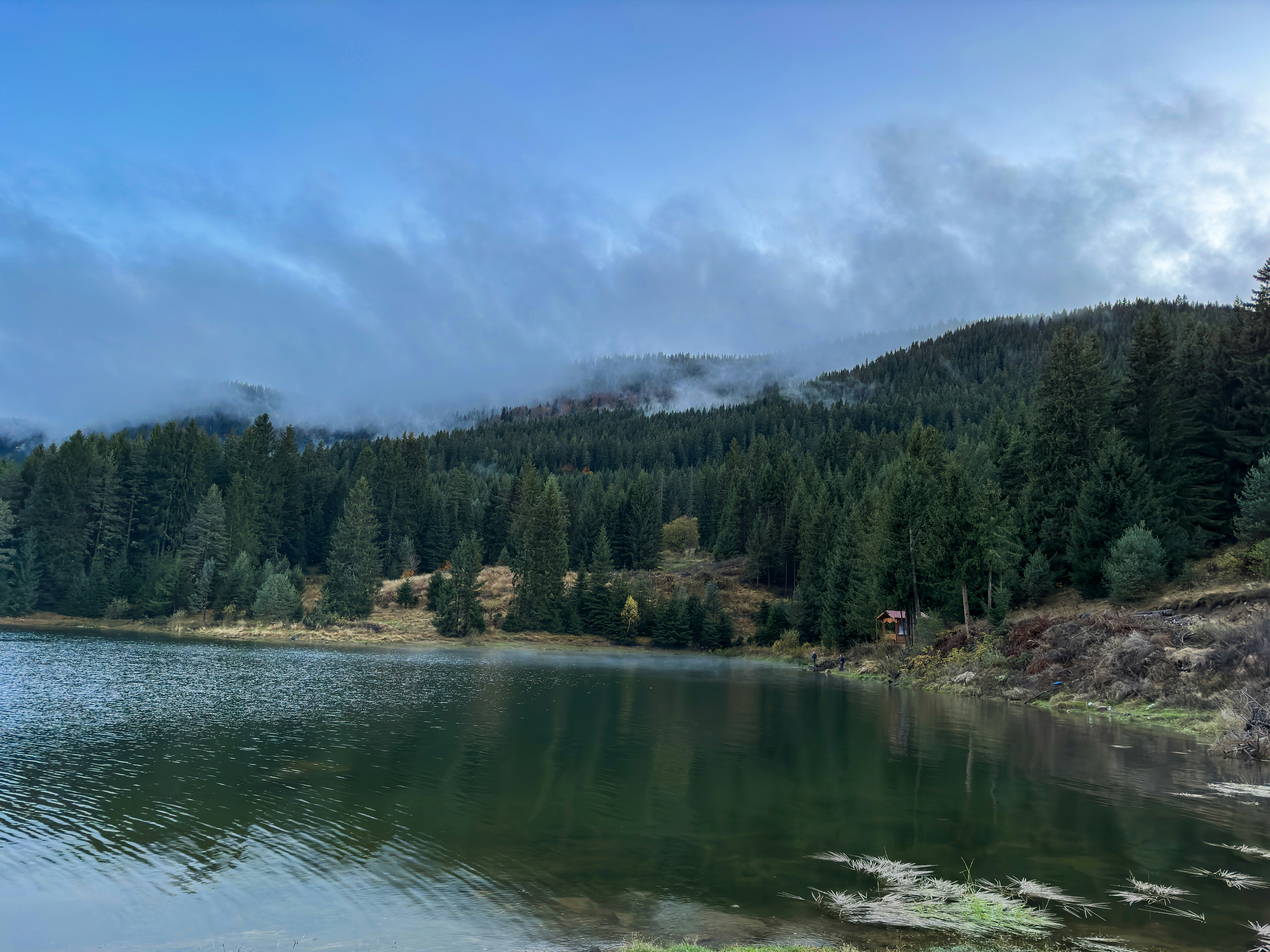 Photo by archange1michael