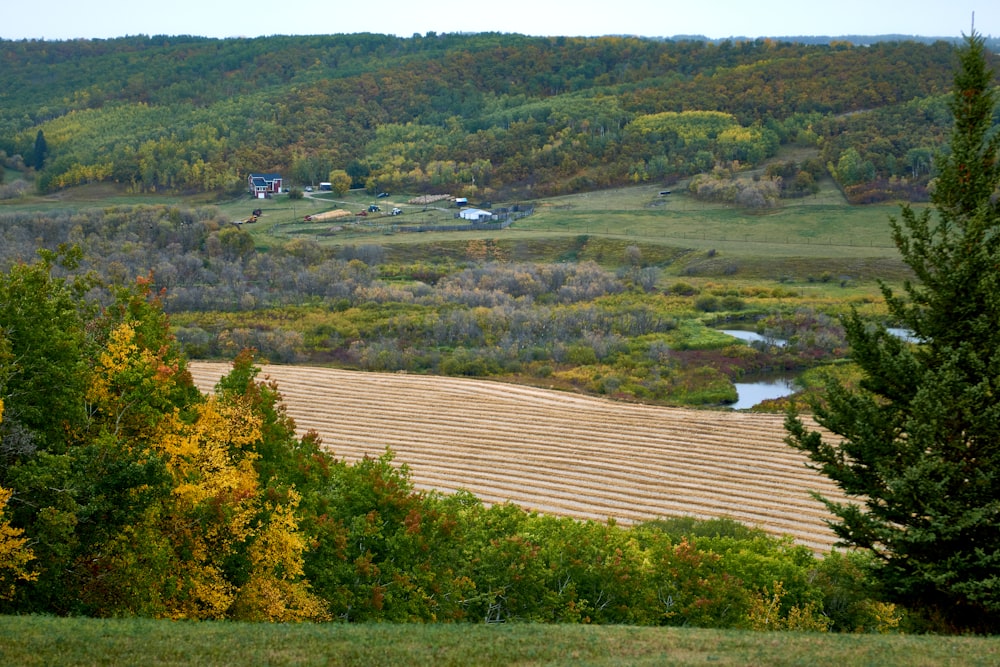 a view of a field with a farm in the distance