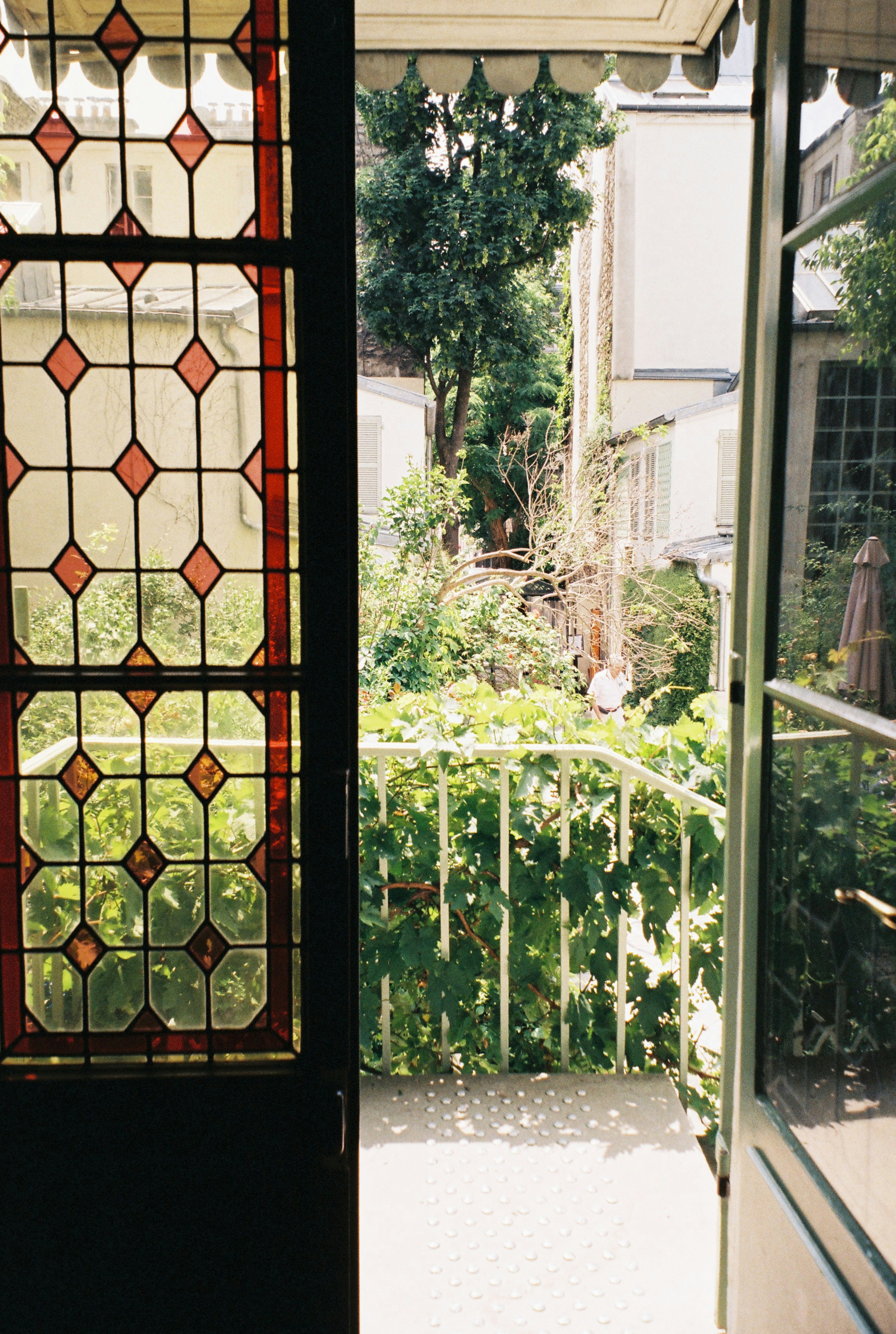 a view of a garden through a stained glass window