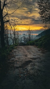 A serene mountain path winding through dense Himalayan forest with a distant temple silhouette at sunset.
