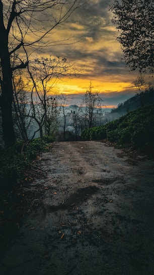 A serene mountain path winding through dense Himalayan forest with a distant temple silhouette at sunset.