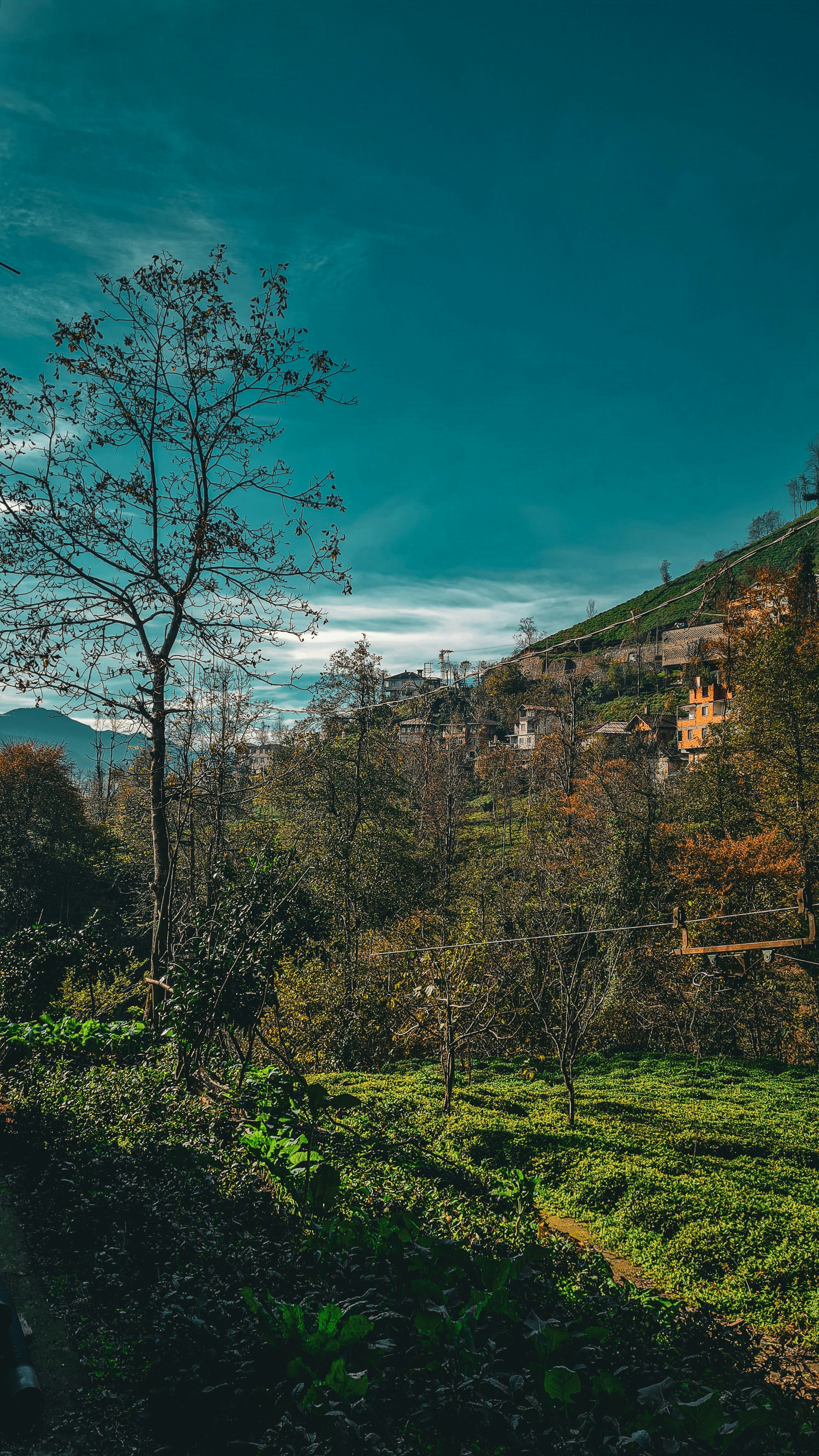 Photo by kayacionur