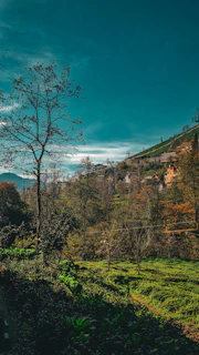 A serene hillside plot with lush greenery and a clear blue sky in Kigali.