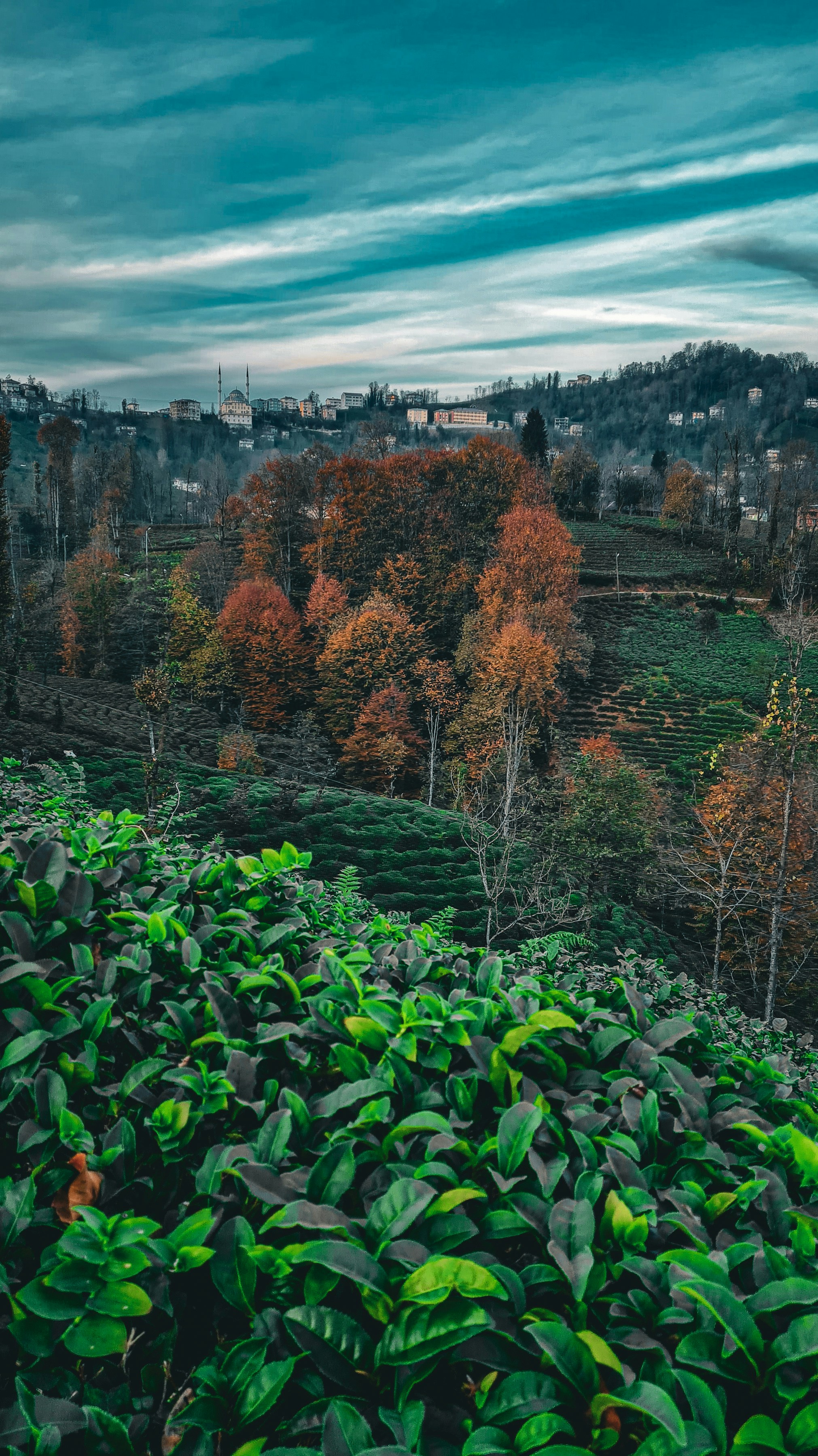Photo by kayacionur