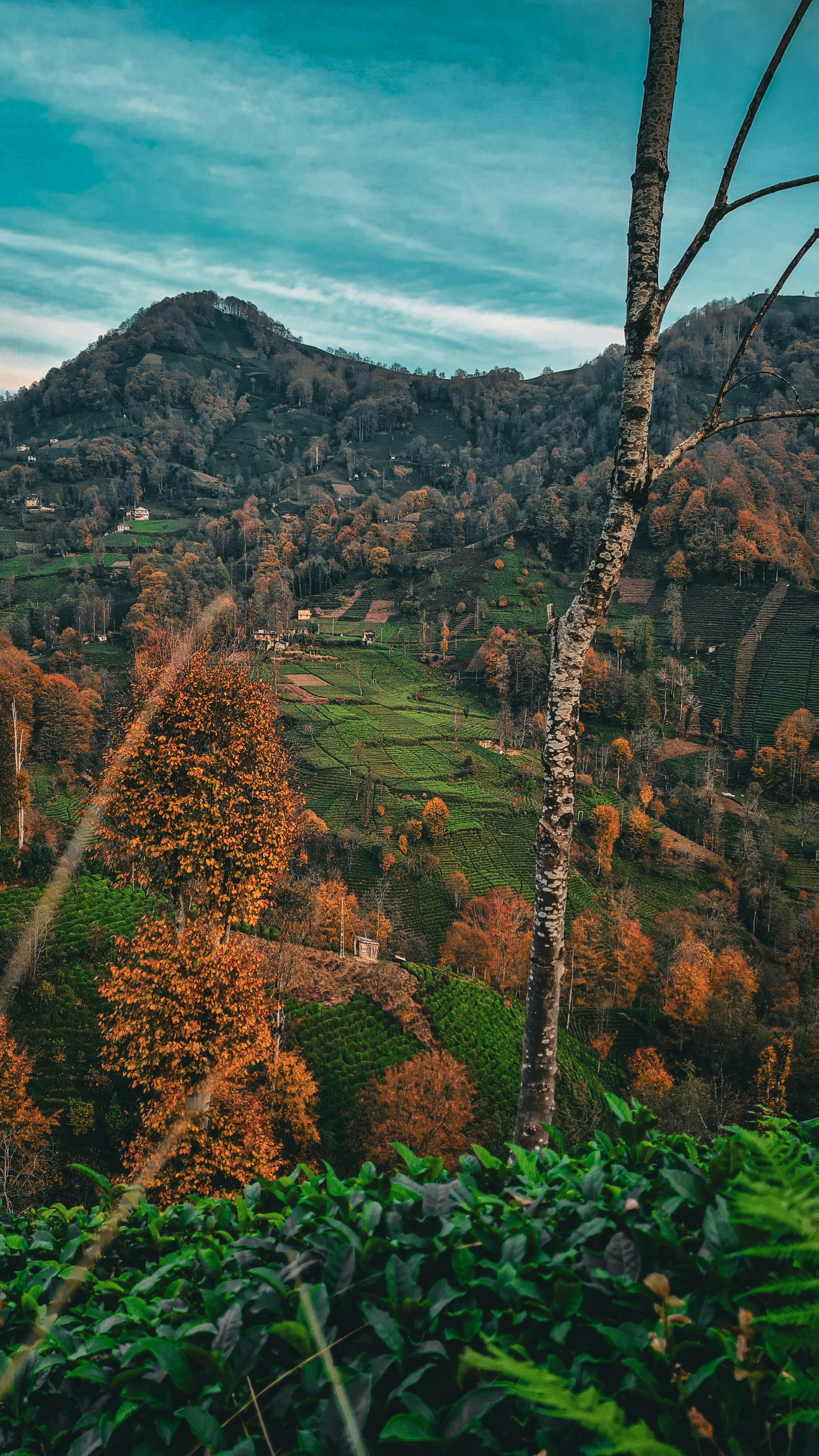 Photo by kayacionur