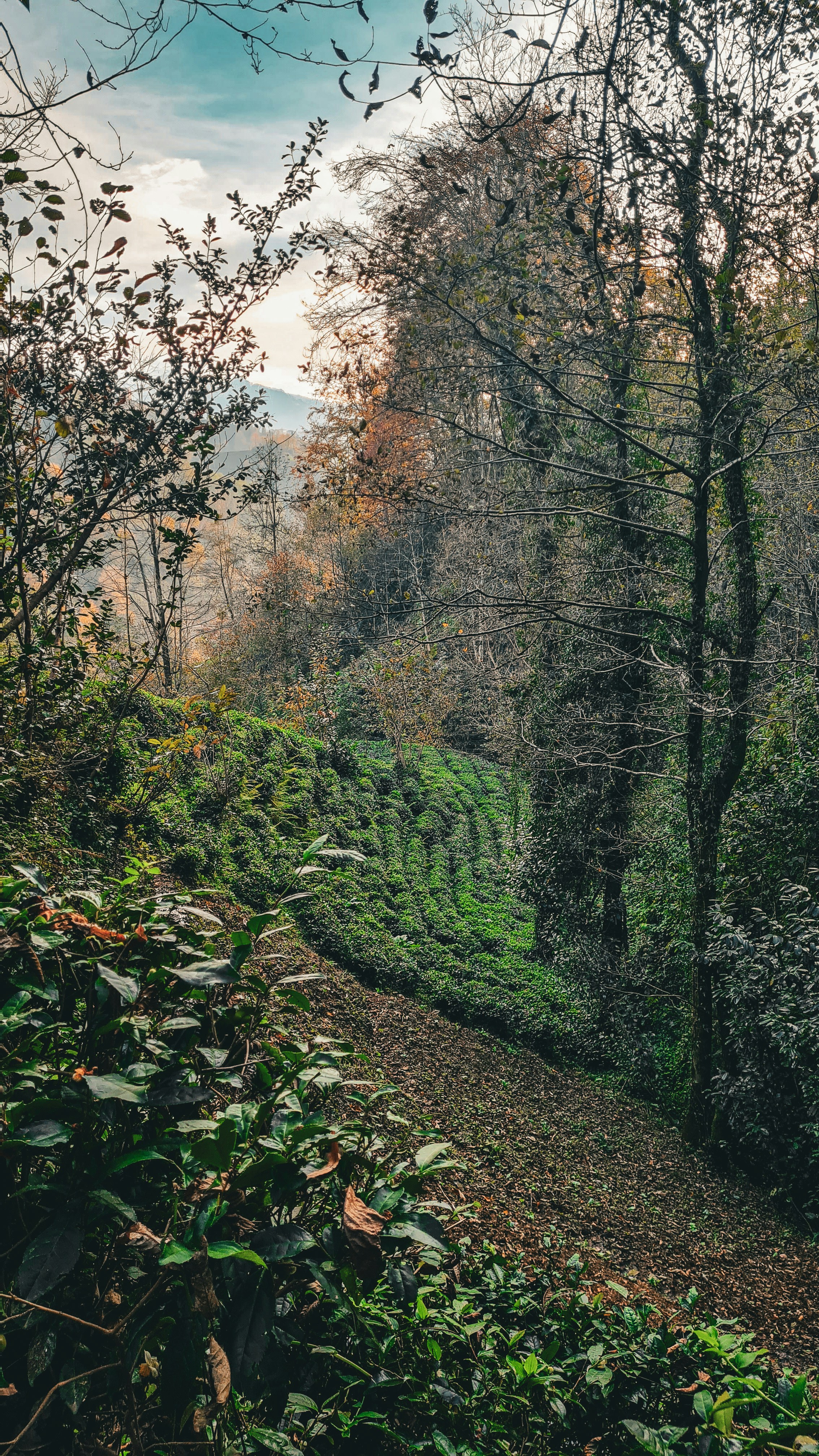 Photo by kayacionur