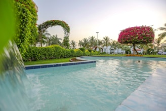 A garden scene featuring a lush, well-maintained landscape with a large, inviting pool in the foreground. The water is clear, with gentle ripples, and a small waterfall cascading from the side of the pool. In the background, there are several palm trees and hedges arching over pathways, adorned with vibrant pink flowers. The sky is clear, suggesting a calm, serene environment.