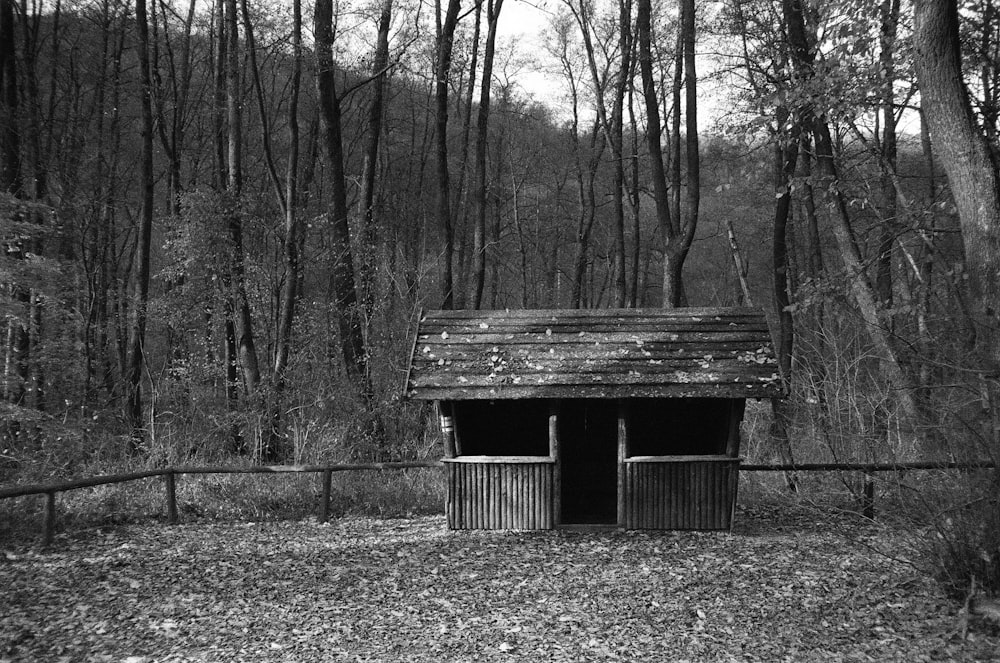 a black and white photo of a shack in the woods