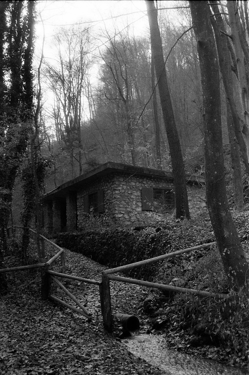 a black and white photo of a house in the woods