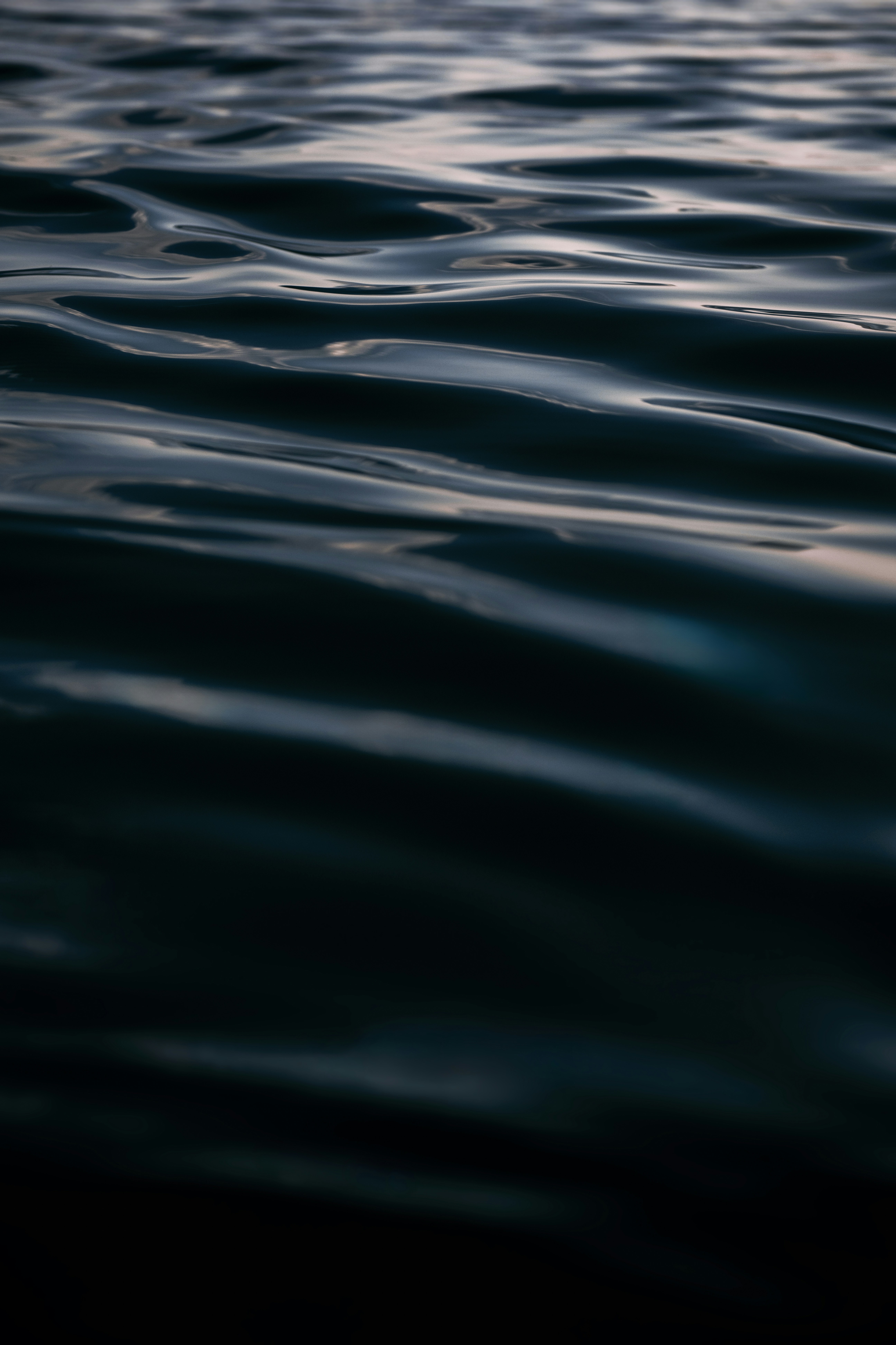 Photo by timmossholder