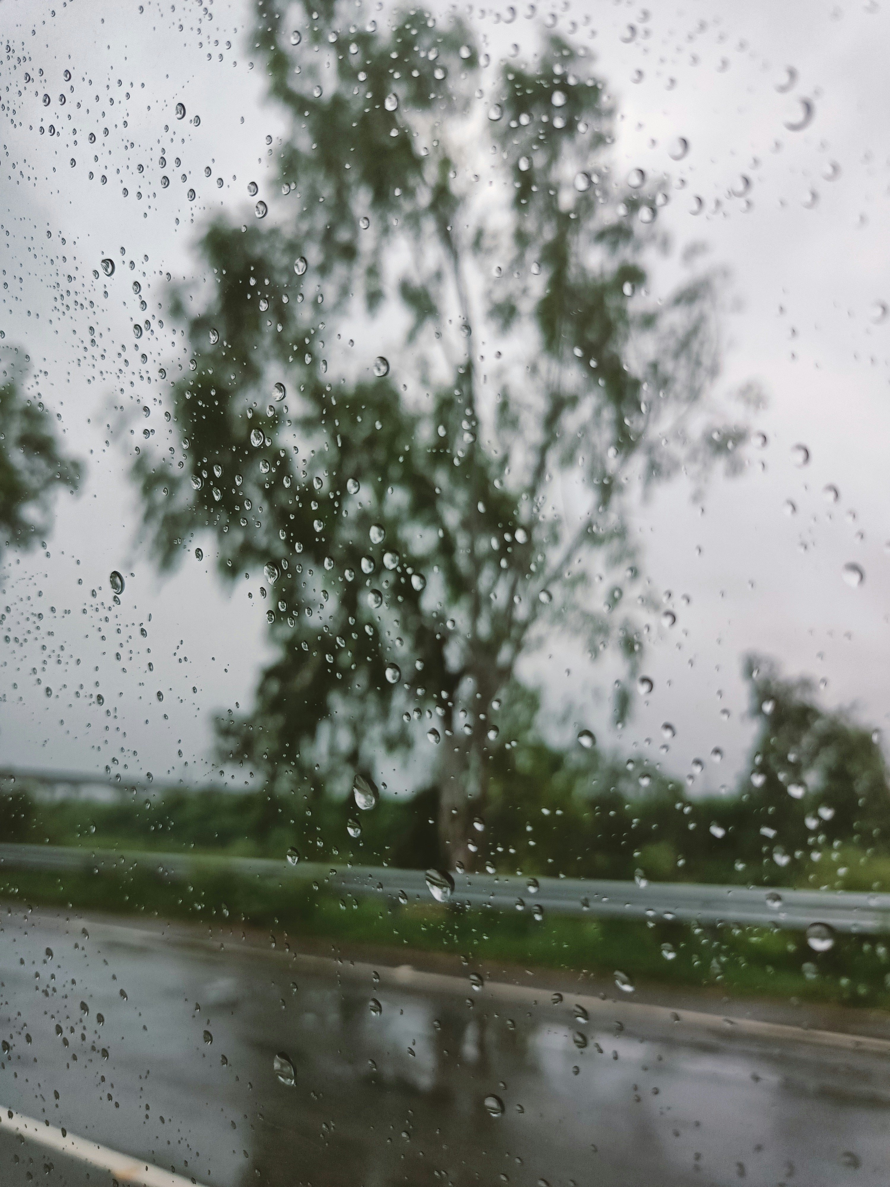 Photo by amishabhatnagar