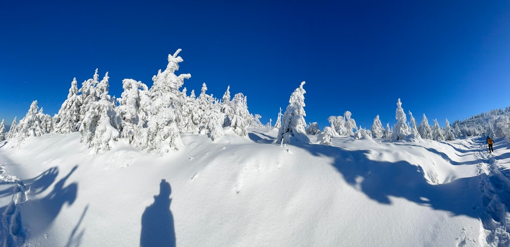 a person on a snowboard in the snow