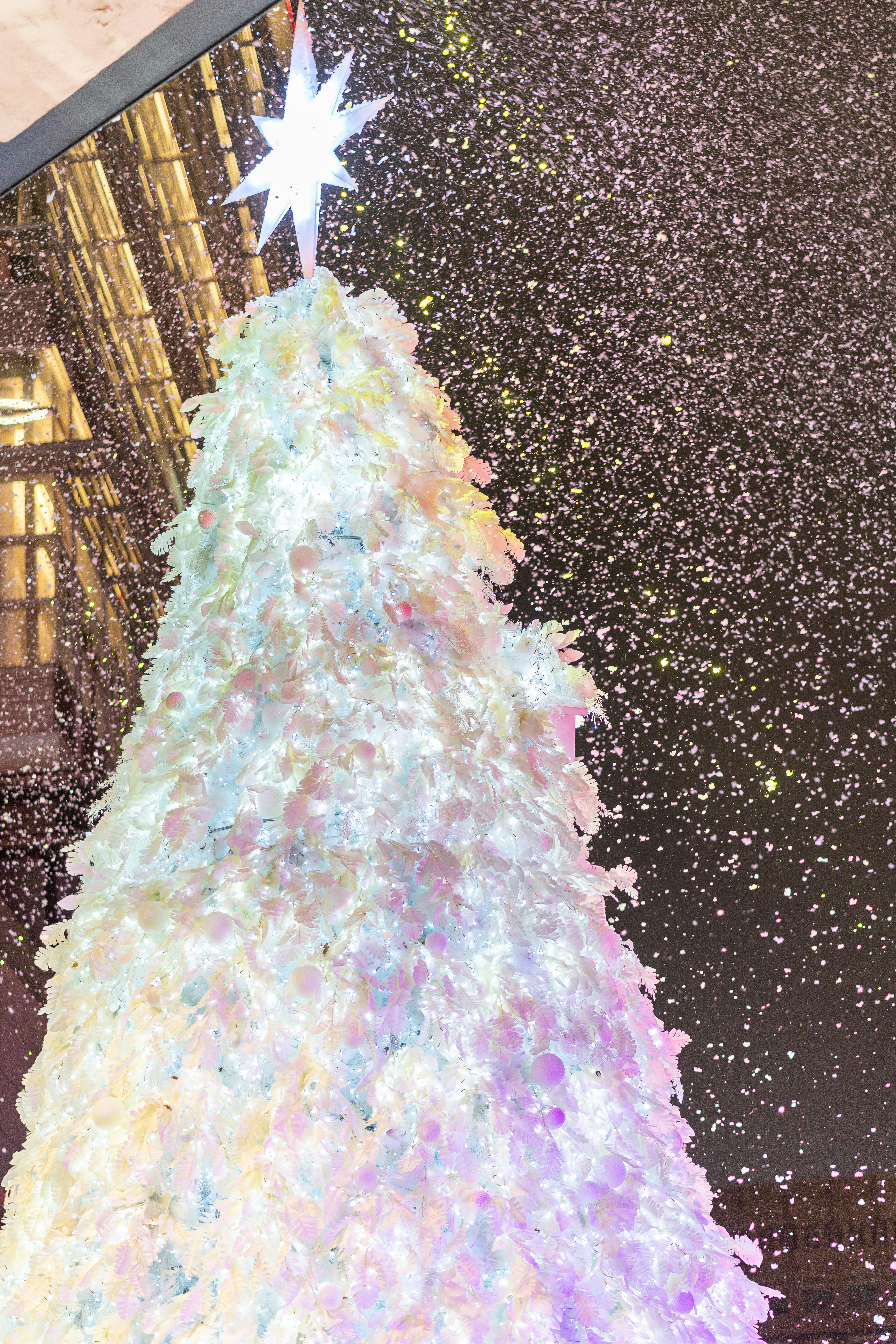 A large christmas tree with a star on top of it photo – Free Xinyi ...