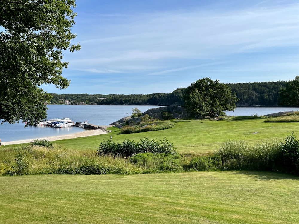 a view of a lake from a golf course