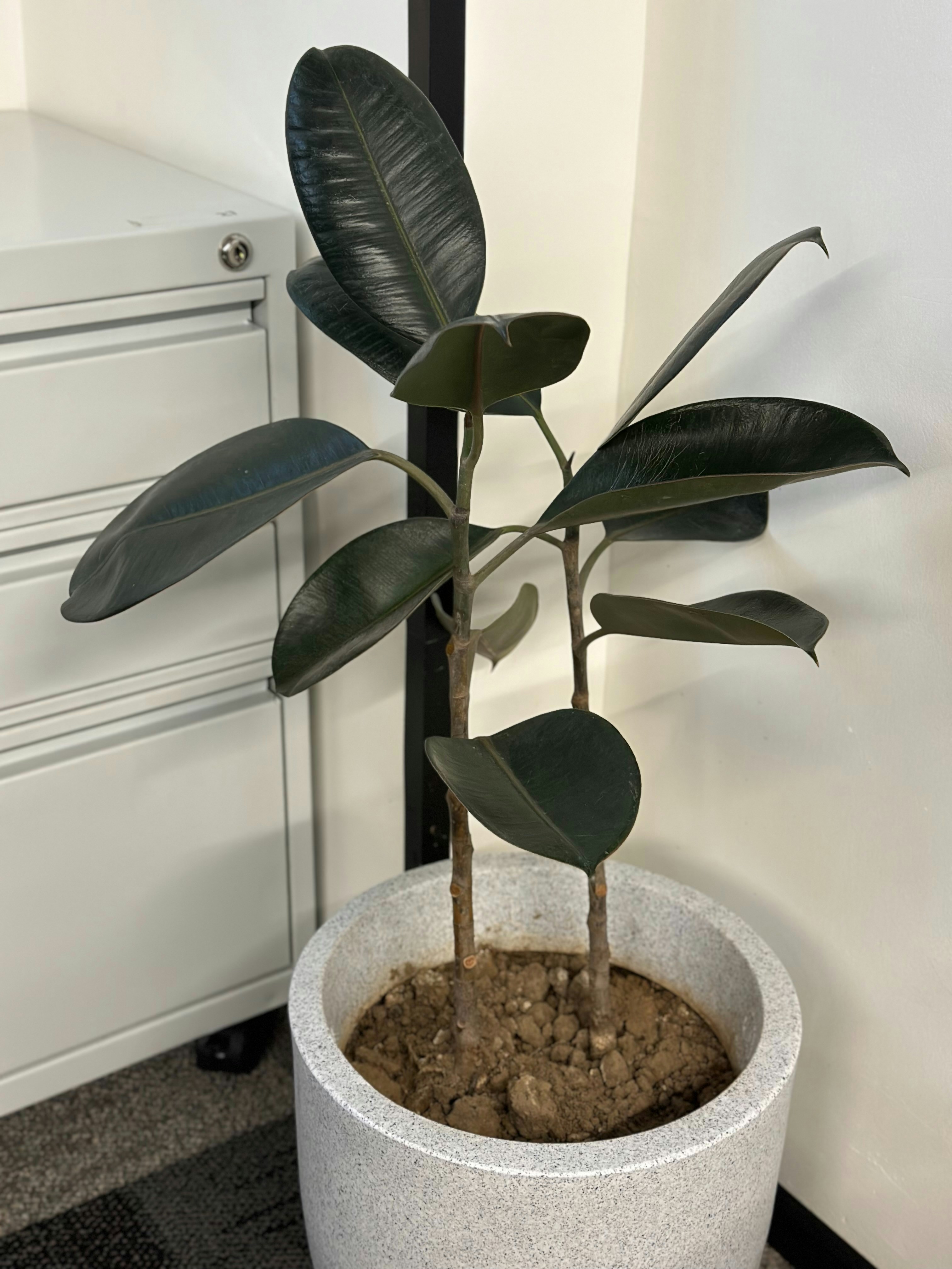 Photo by ekjotsingh12345