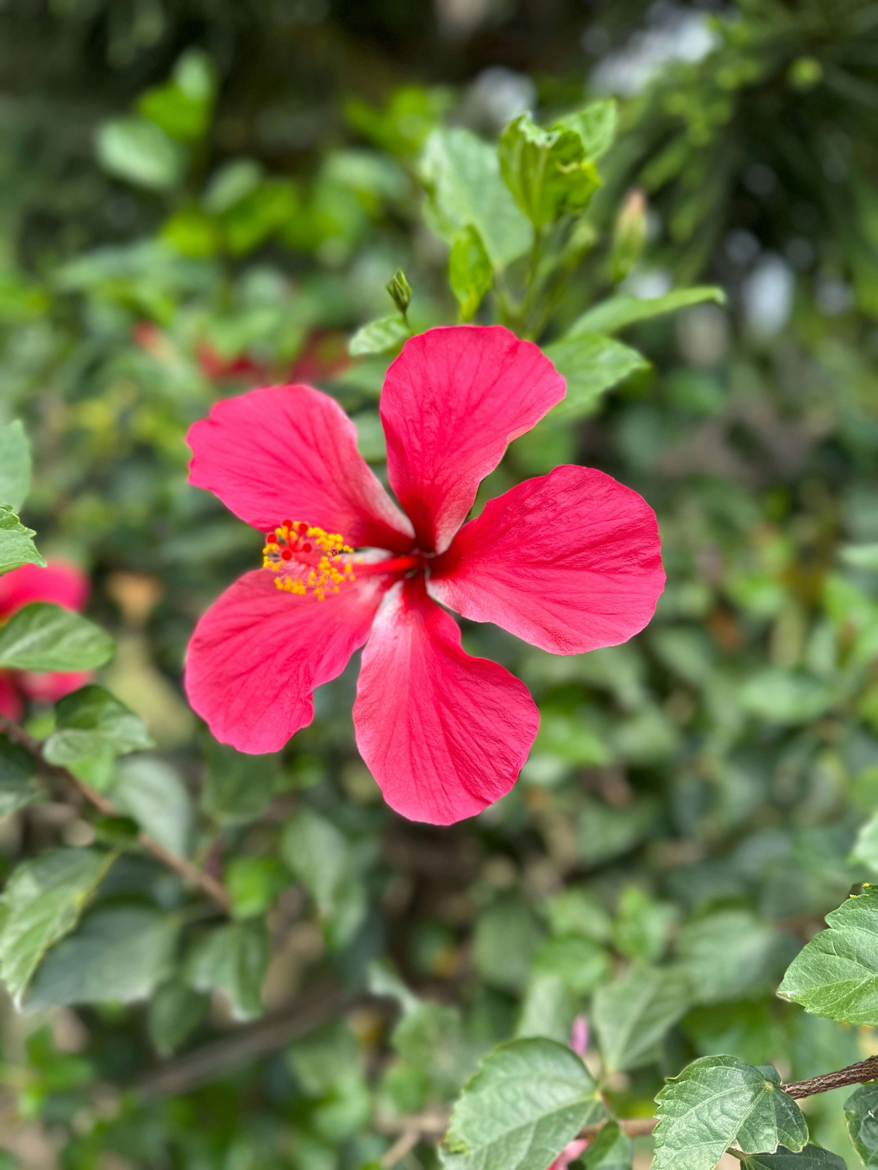 Photo by ekjotsingh12345